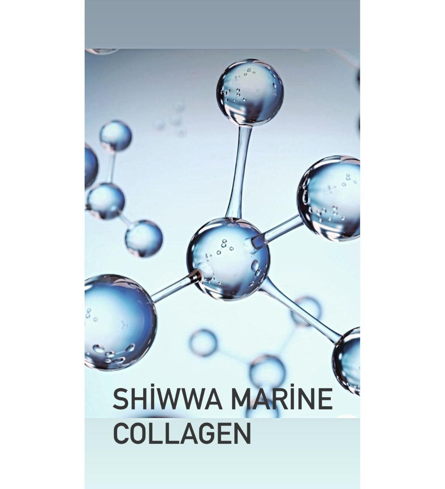 Vita Ceel Magnesium Complex and Collagen Type 1 3 Containing Bisglycinate Malate Citrate B6 - Buy Online on GoSupps.com