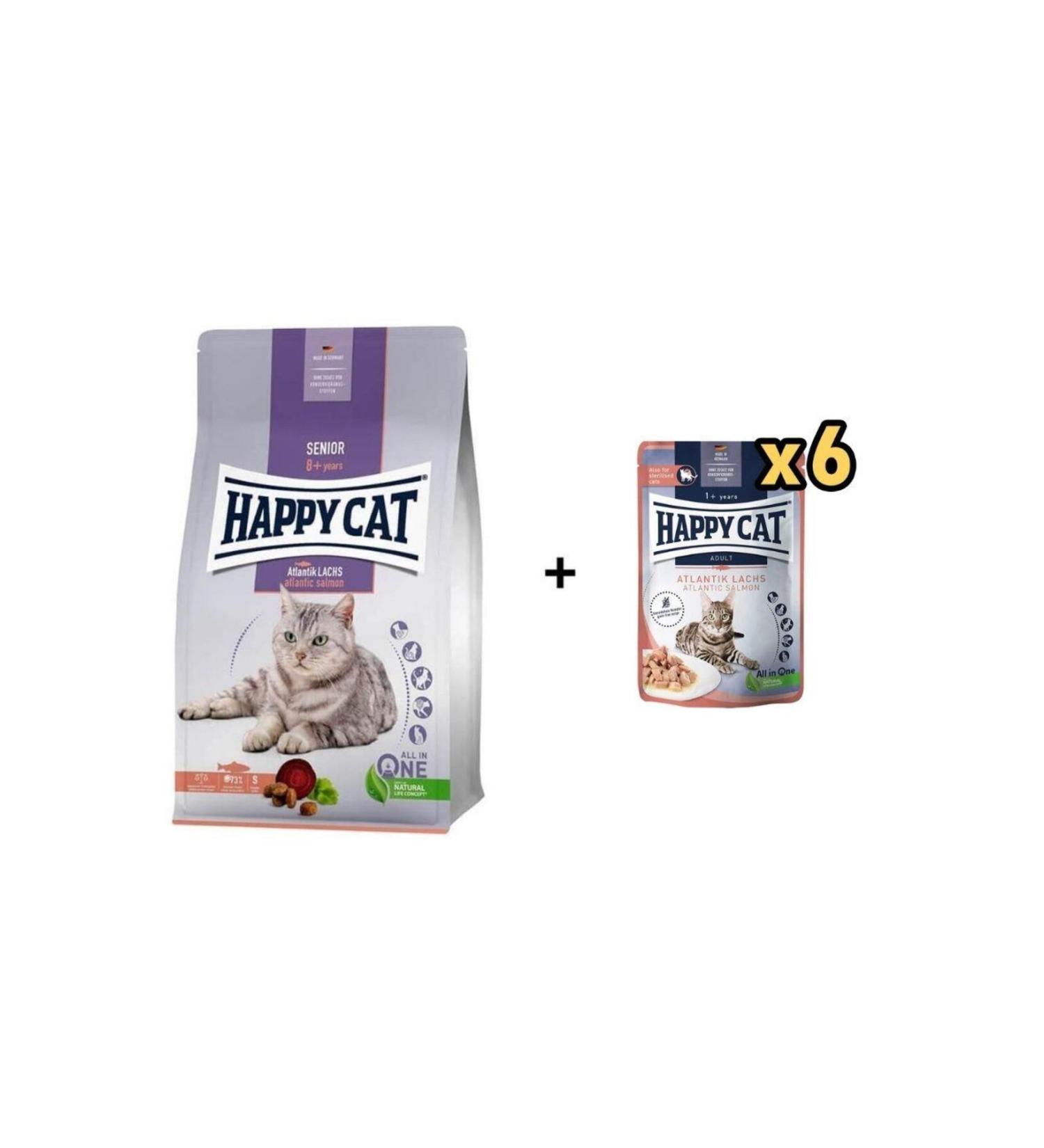 Royal Canin Persian Kitten Persian Kitten Cat Food 2 Kg - Petshopundan