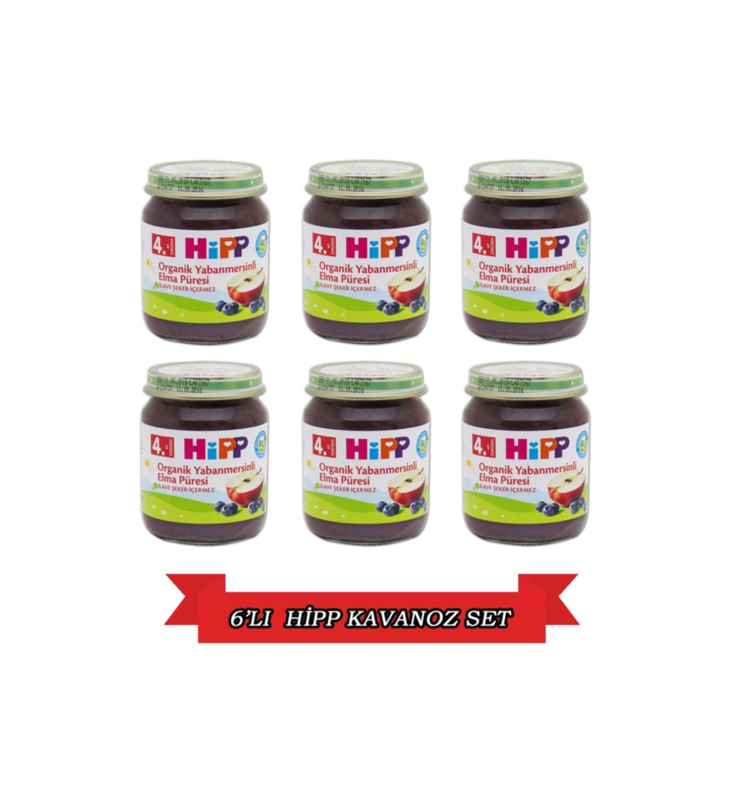 Hipp Jar Organic Apricot Puree 125gr 6 Pack