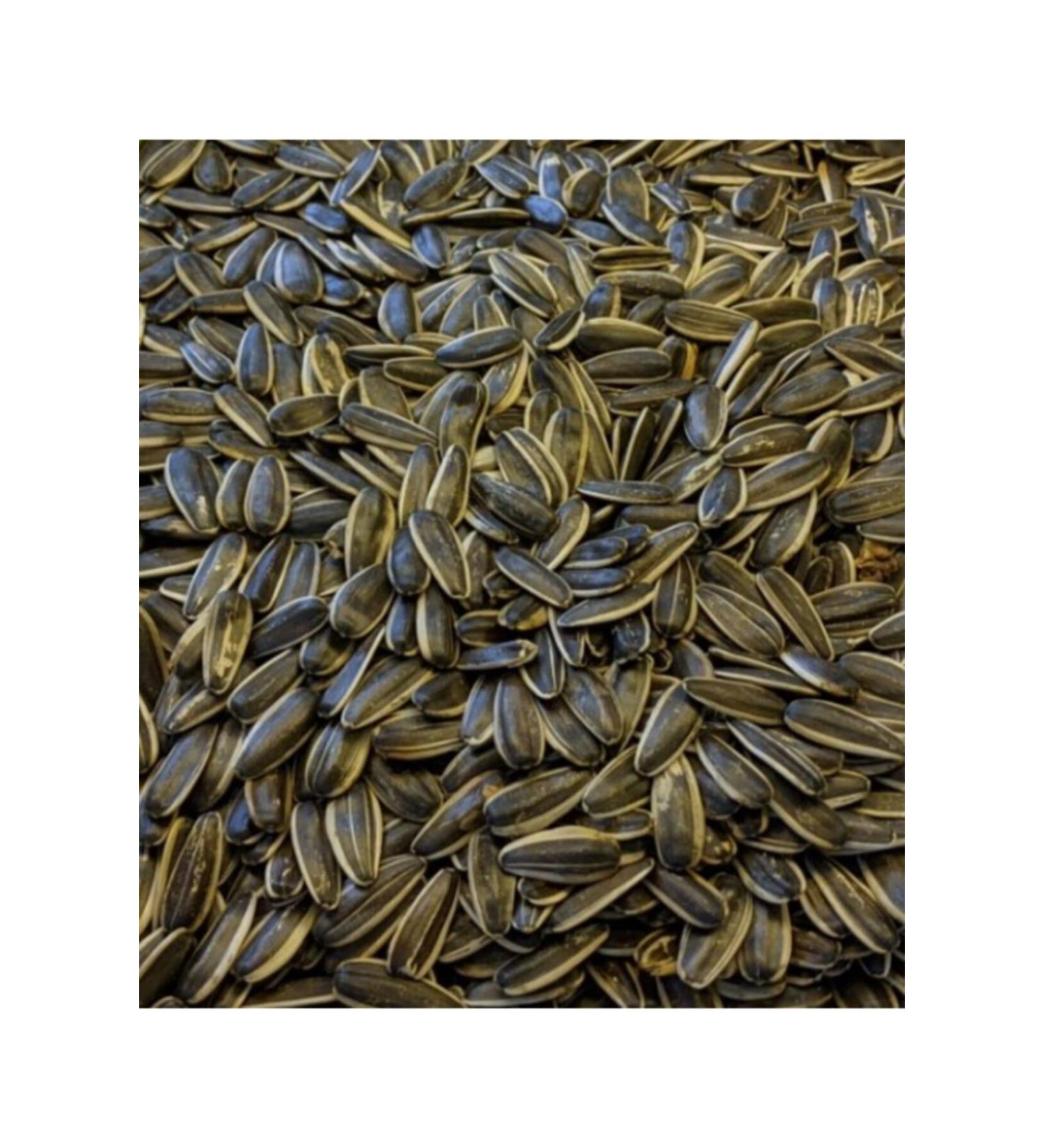 FRIENDS NUTS 1 Kg Local Black Unsalted Roasted Sunflower Seeds (dakota)