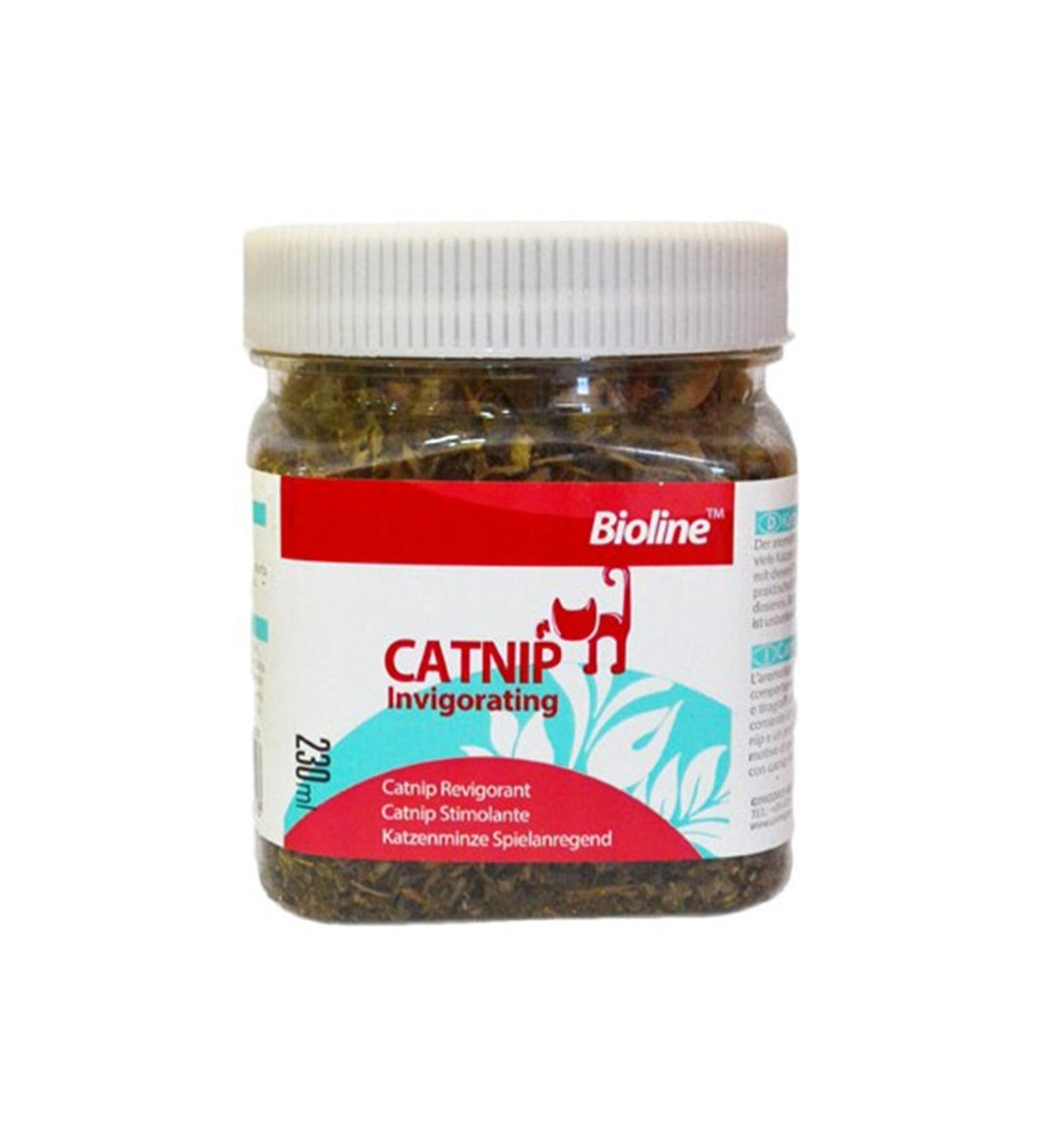 Cizmeci Time Heyo Vanilla Cream Cocoa Biscuit 10 gr X 48 Pieces - Buy Online on GoSupps.com