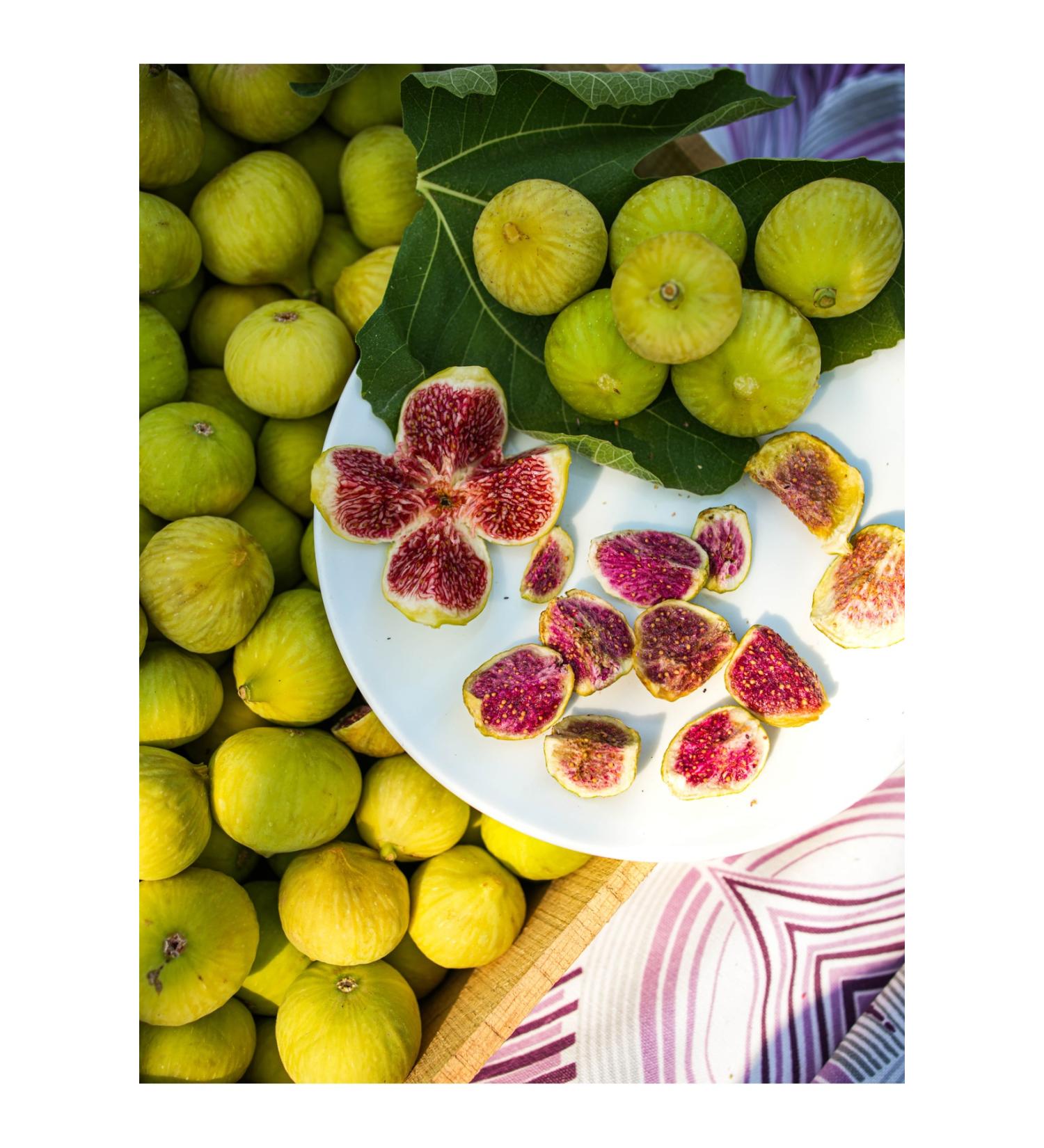 farmer lykia Melli Fig Freeze Dried Fruit Chips - 10 Pieces of 30gr Freeze Dried Melli Fig - Buy Online on GoSupps.com