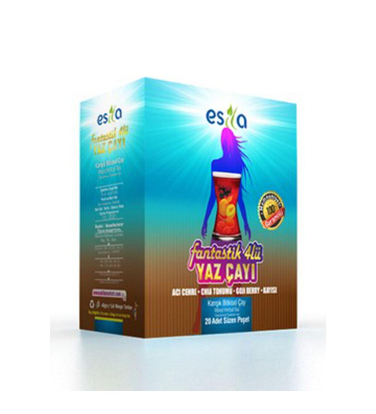 ES LA Fantastic 4-Pack Summer Tea 45-Pack Original