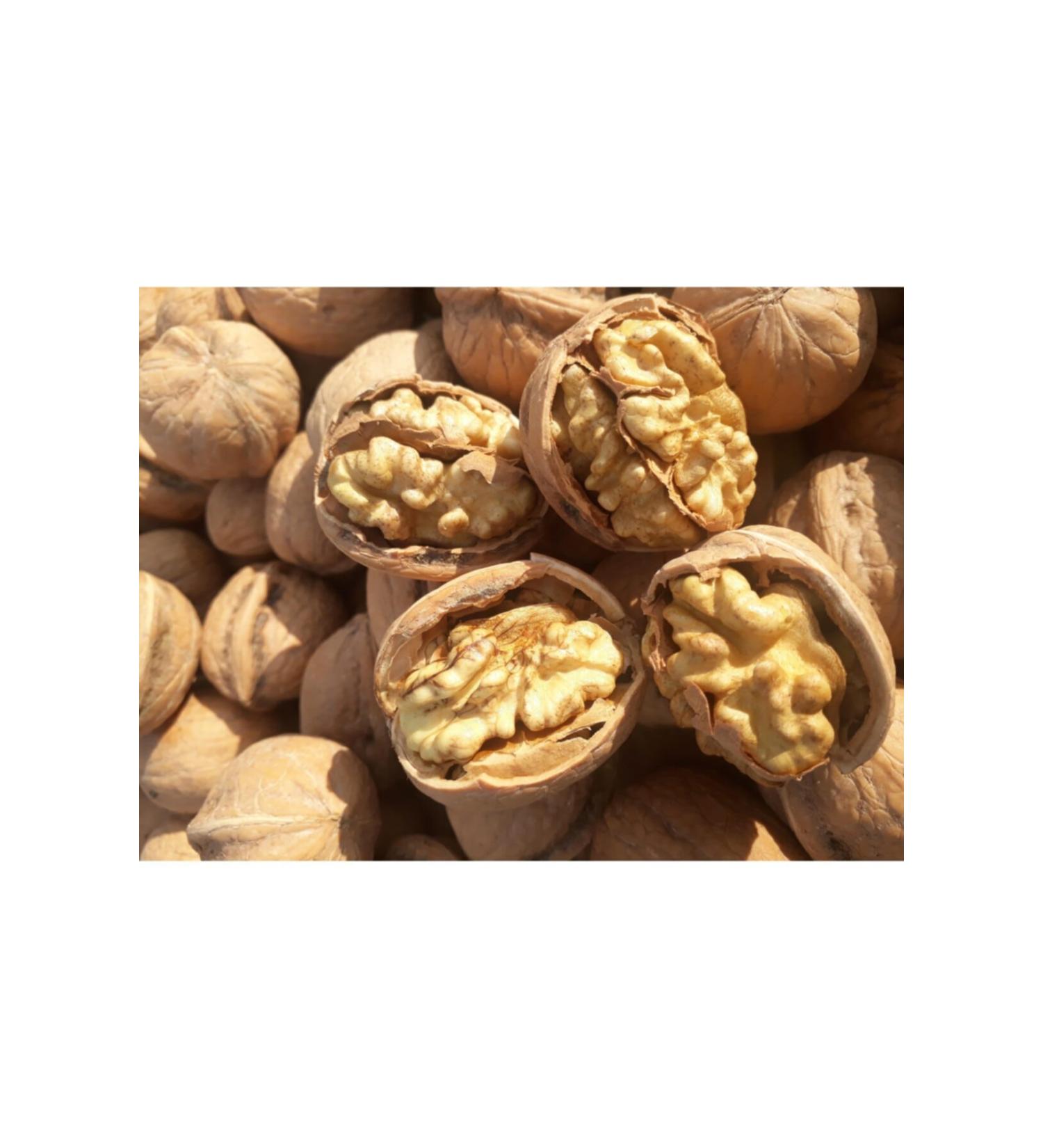 Acana Classic Wild Coast Dog Food 2 Kg - FarmaPets