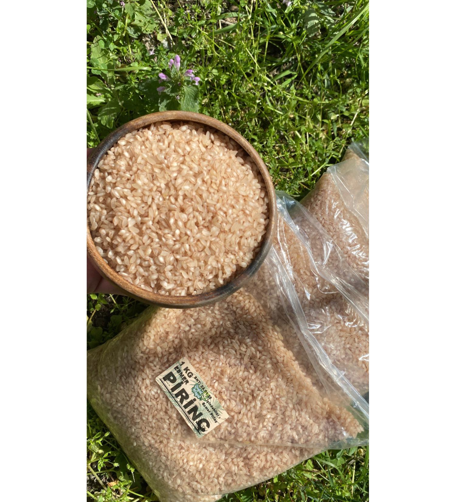 Natulife Pumpkin Seeds Raw 1 Kg (GLUTEN FREE)