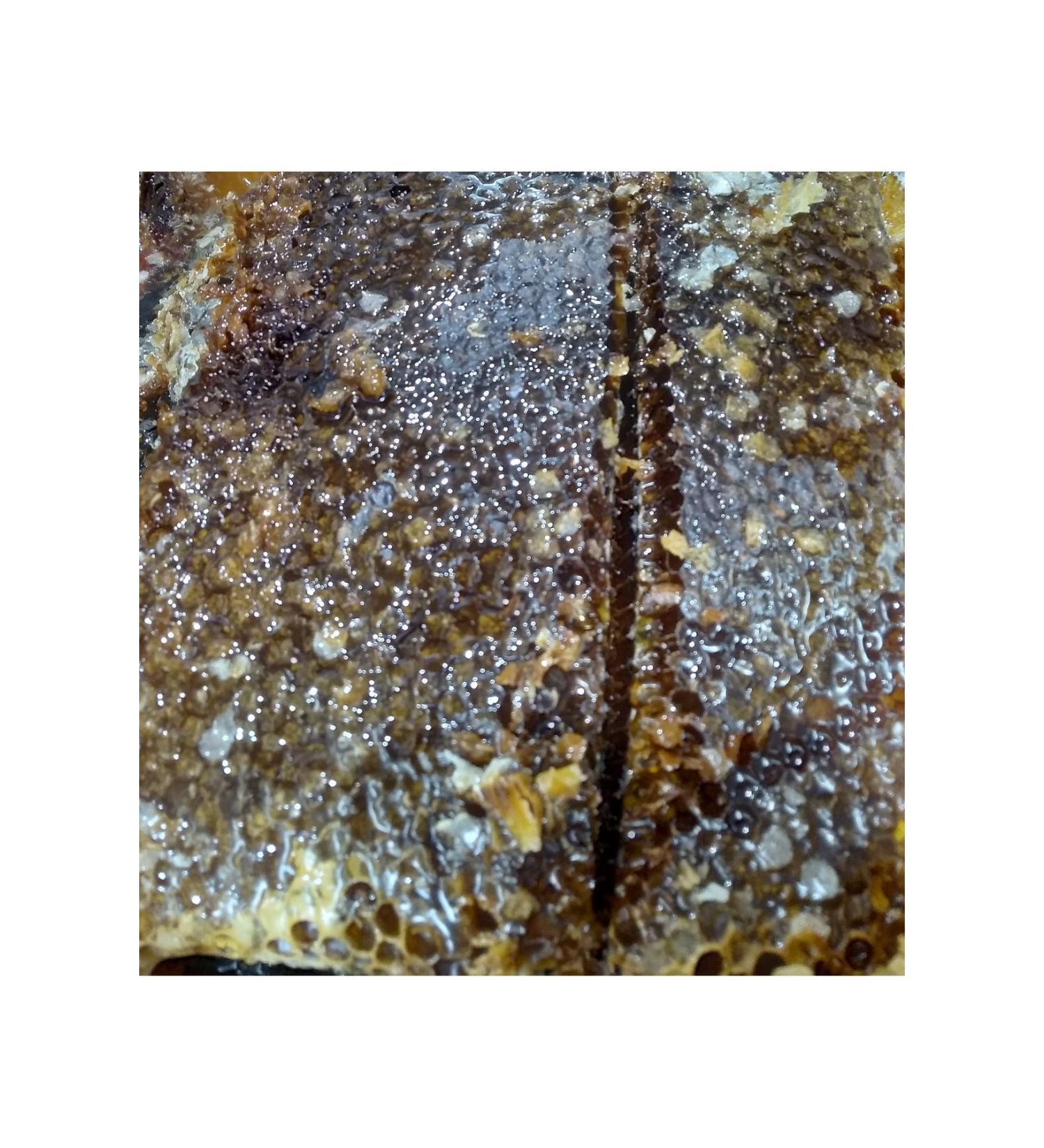 aykur Organic Rize Tea 500 gr