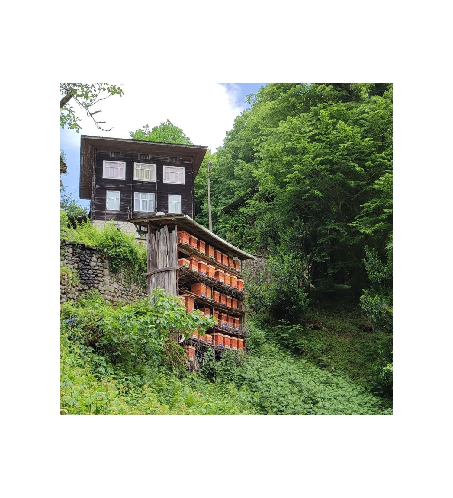 FO Lavender Flavored Cocktail Syrup 700 ml