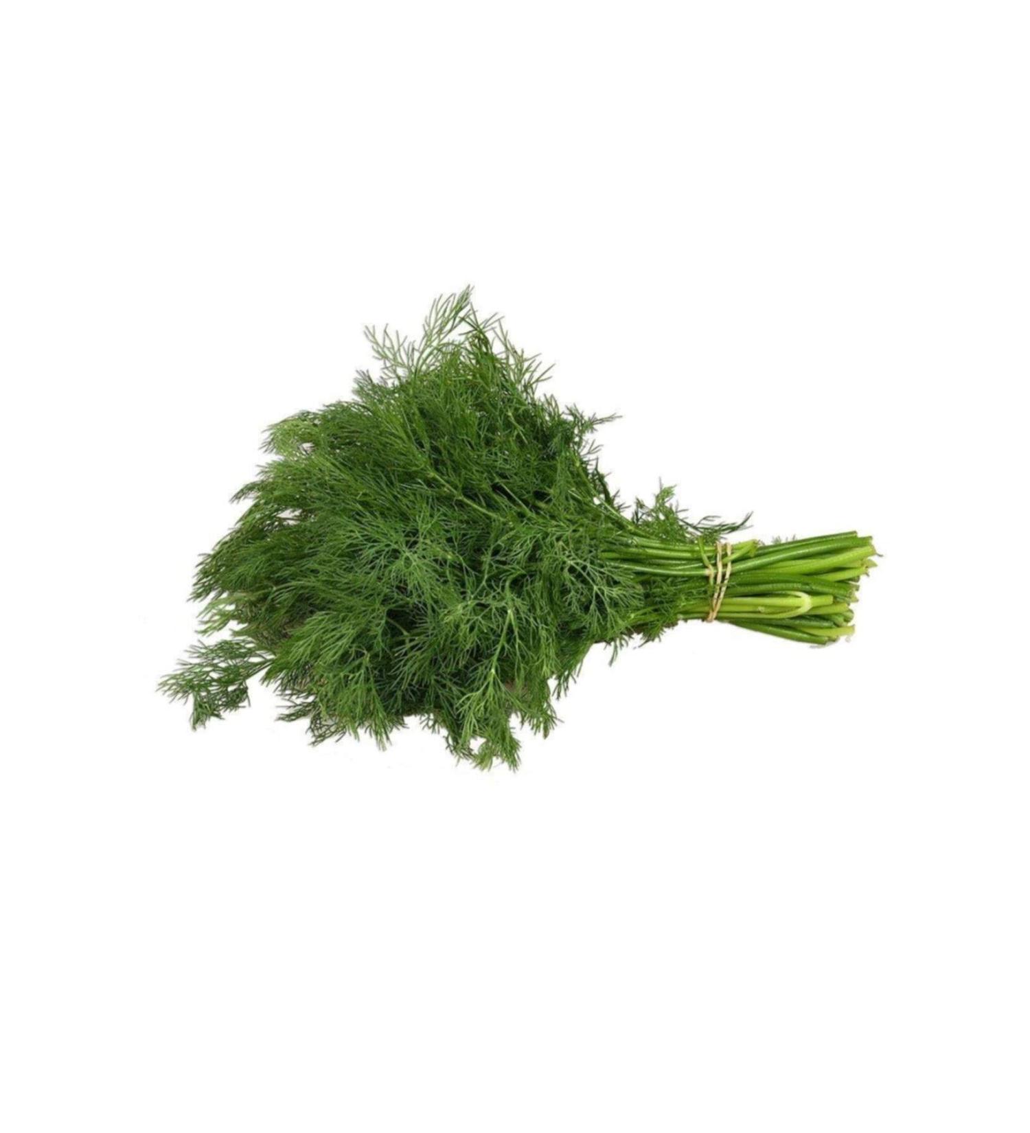 Ocean Black Cumin Oil Unboxed 60 Pieces