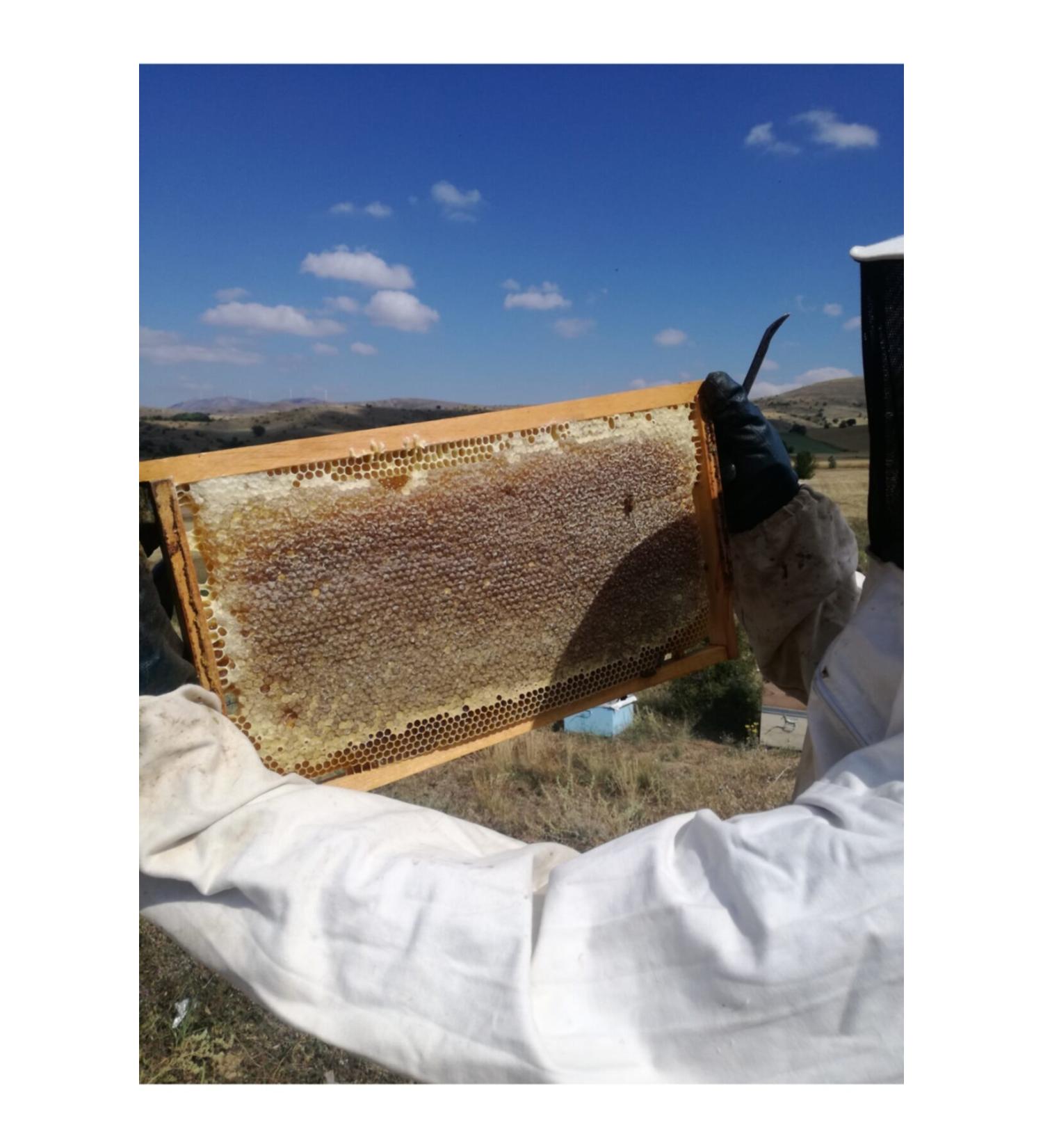 OZMU HONEY Lath Honey 3.4kg