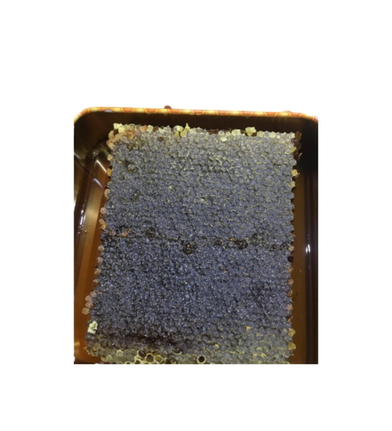 POLENBALEV Comb Honey Sivas Kangal Region 3.5 kg Natural Comb Honey