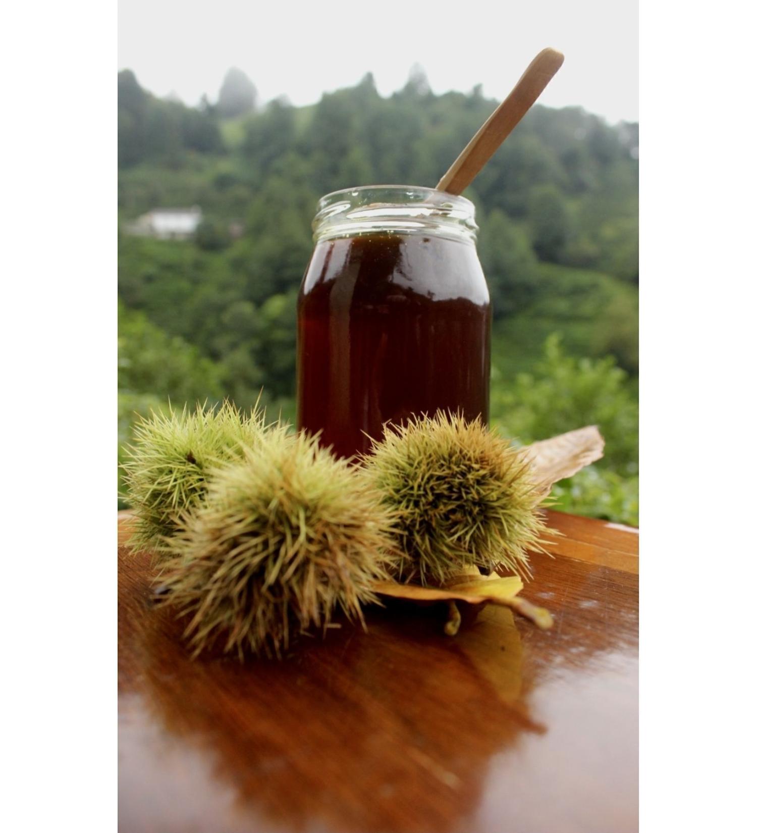 NATURAL FOOD Chestnut Honey Artvin 500 gr - Buy Online on GoSupps.com
