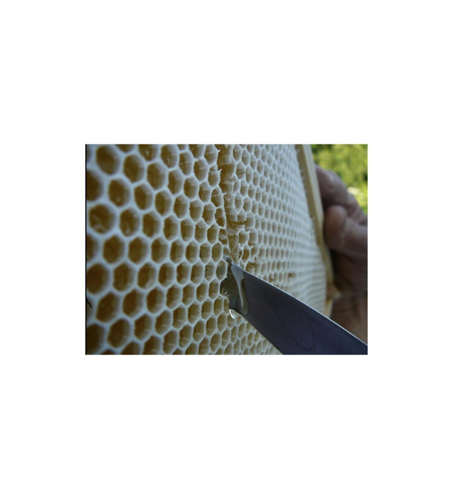 Aziz Dede Honey Natural Black Hive Comb Honey (450 G. - 500 G.)