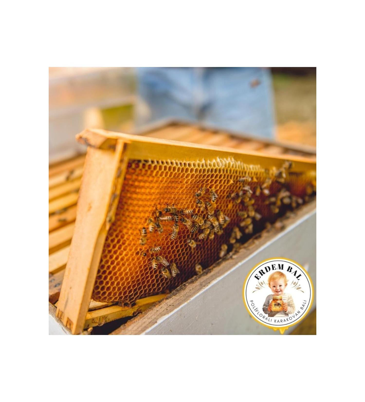 Erdem Honey Natural Polyflora Erdem Comb Honey Net 3.2 Kg