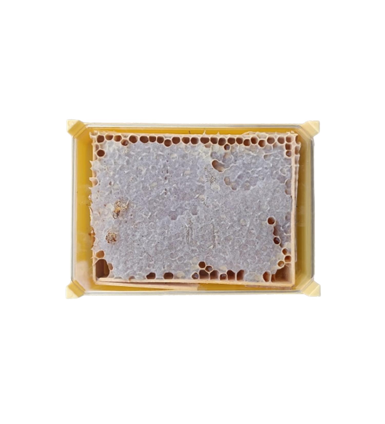 Ersoy Beekeeping Genuine Karahive Honey 500 Gr