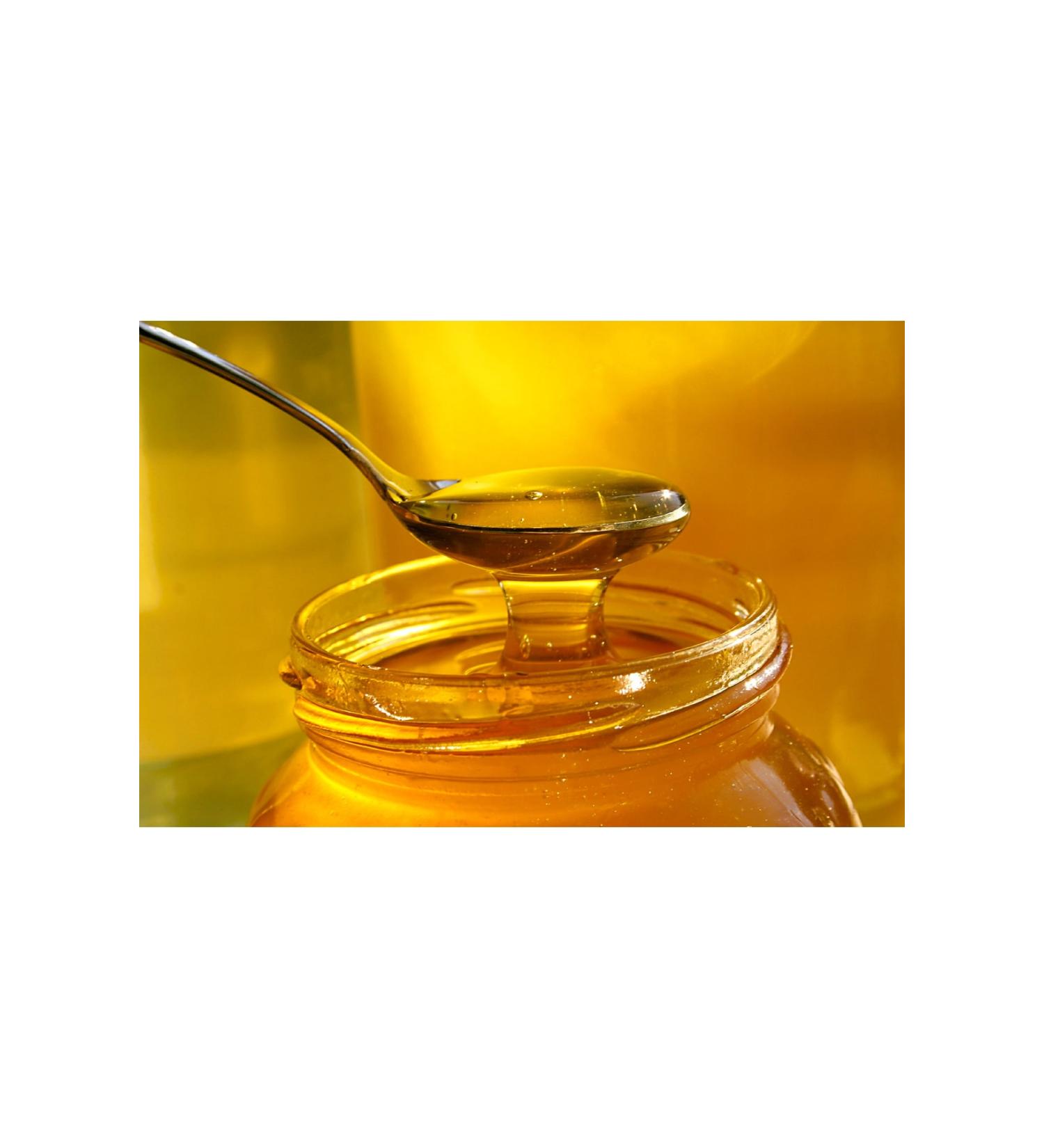 Erzurum Ipek Gurme Erzurum Ipek Gurme Erzurum Pure Honey 480 Gram Ipk4637 - Buy Online on GoSupps.com