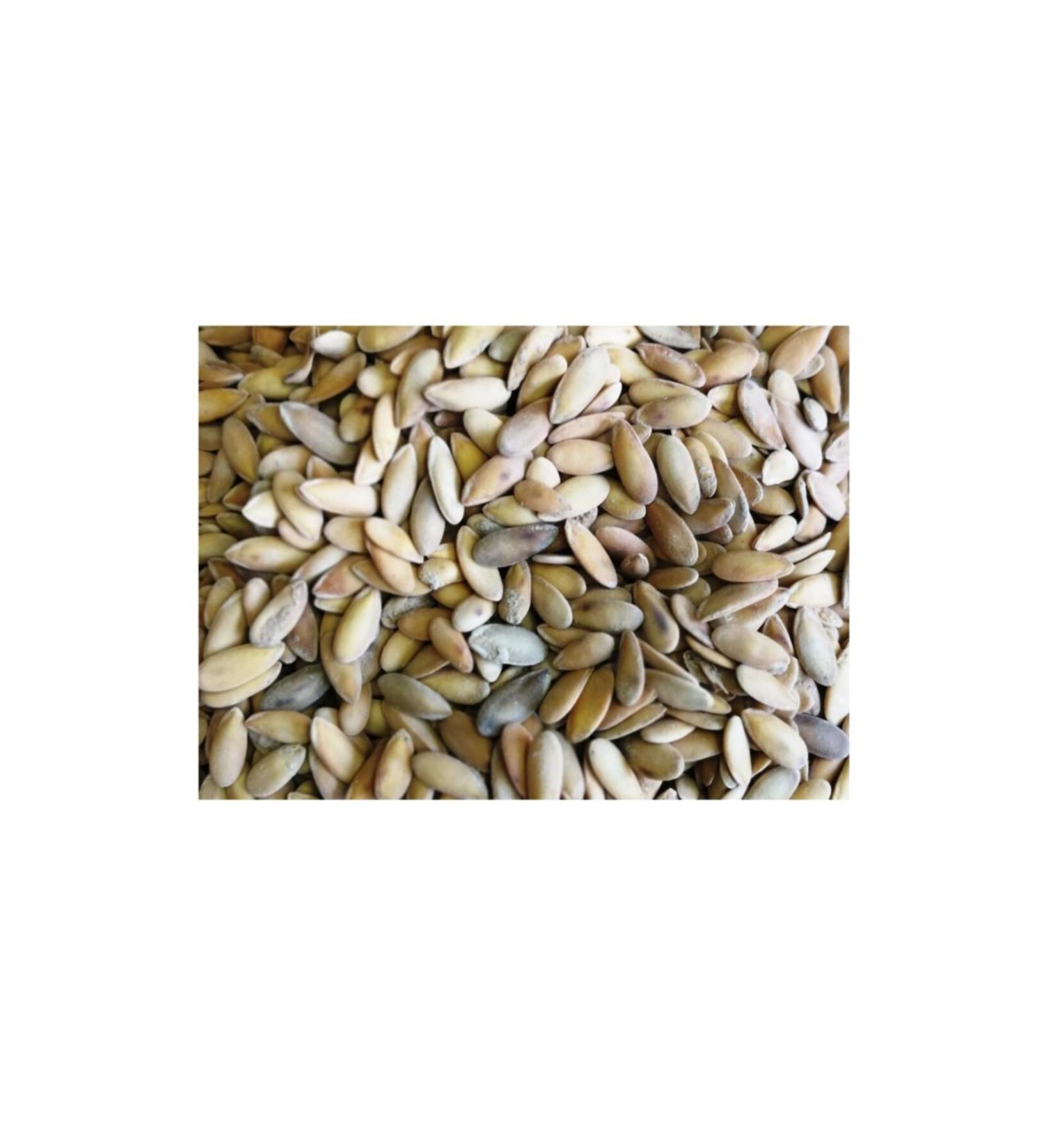 MardinSepet Roasted Melon Seeds 1 kg