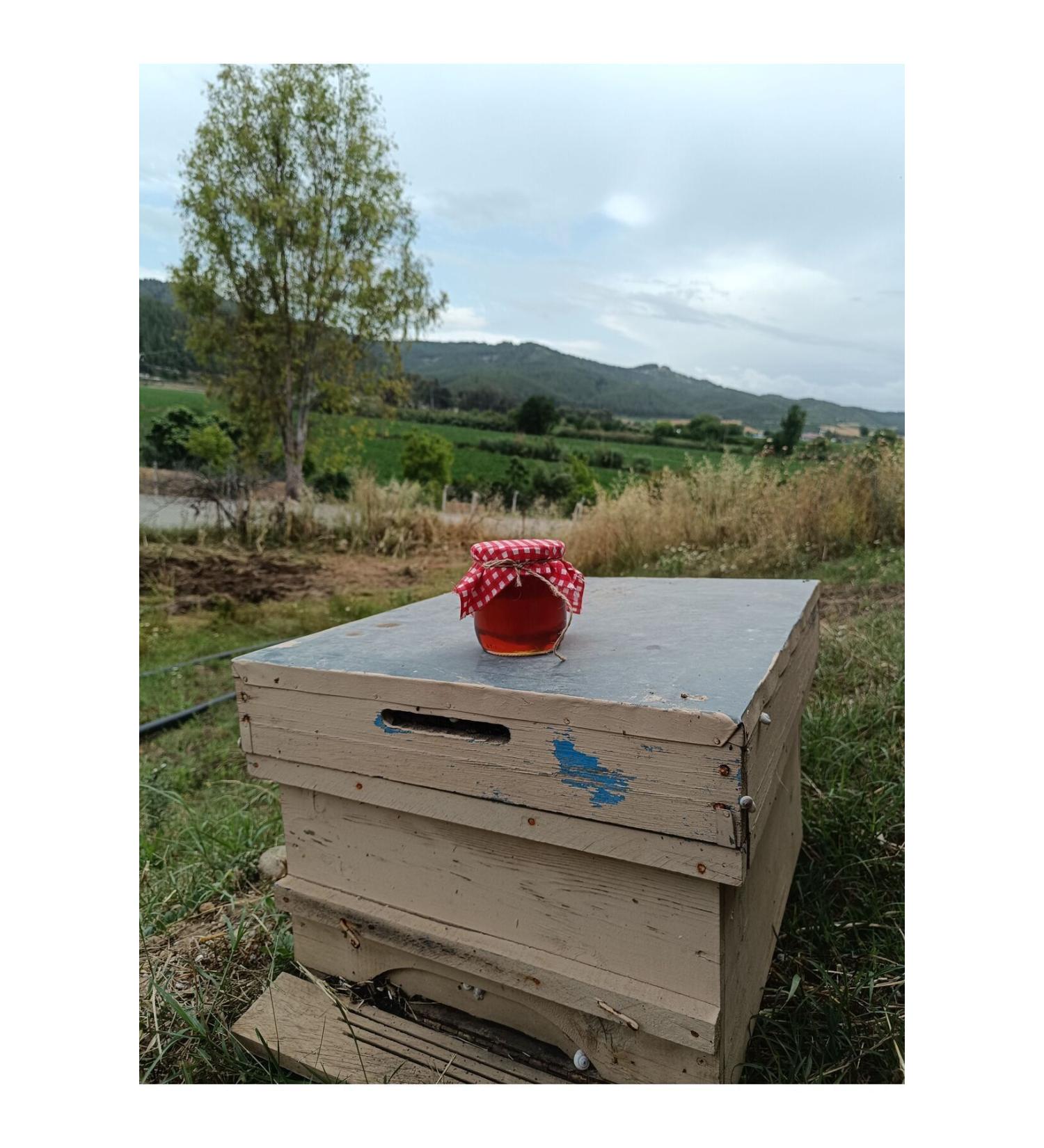 850 grams of Local Chestnut Honey Which is Carried Aegean Region