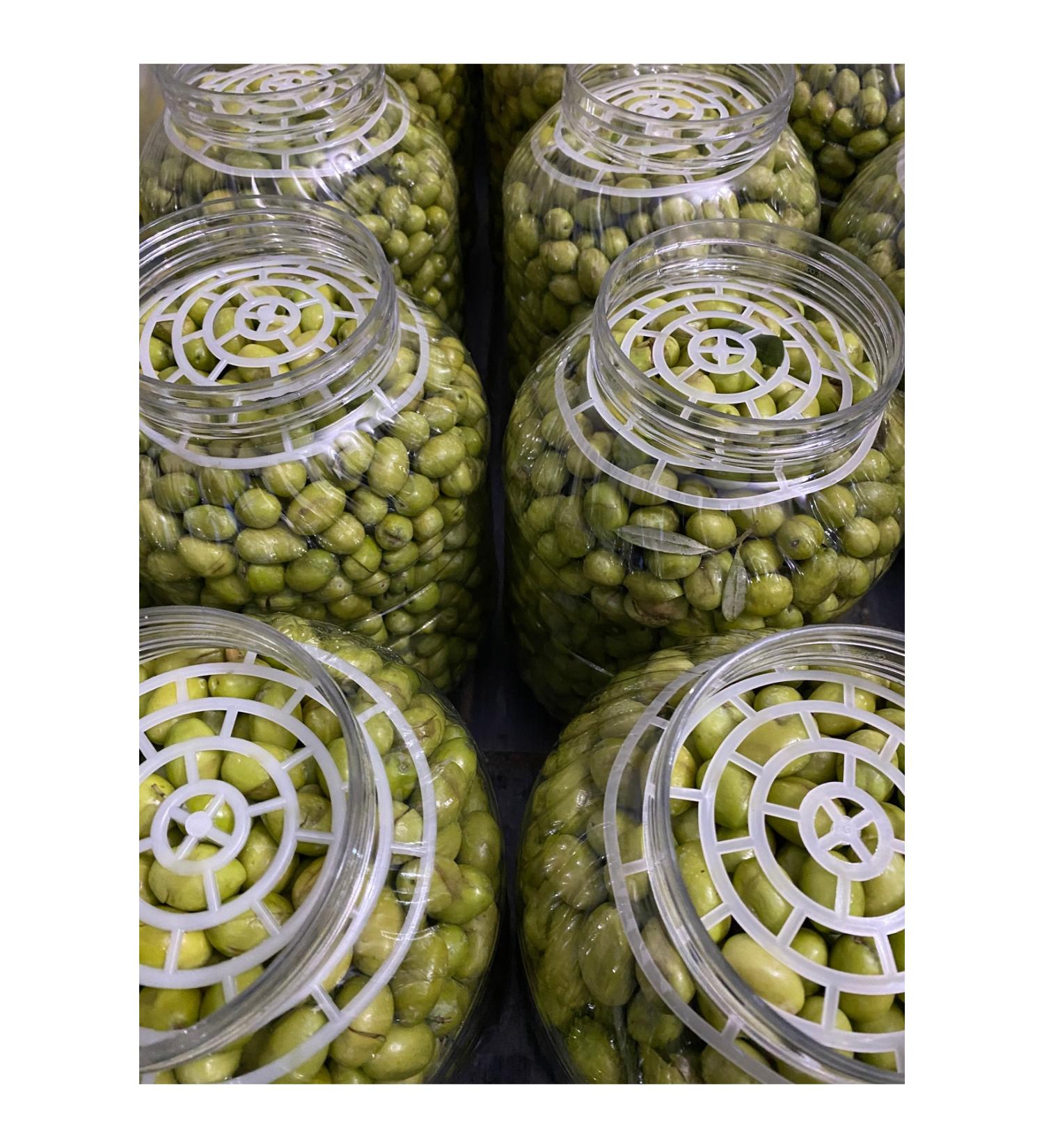 mut incisi olive & olive oil Flavor Yourself 5 Liter Green Olives in Pette (2 Pieces 5 liter pet) - Buy Online on GoSupps.com