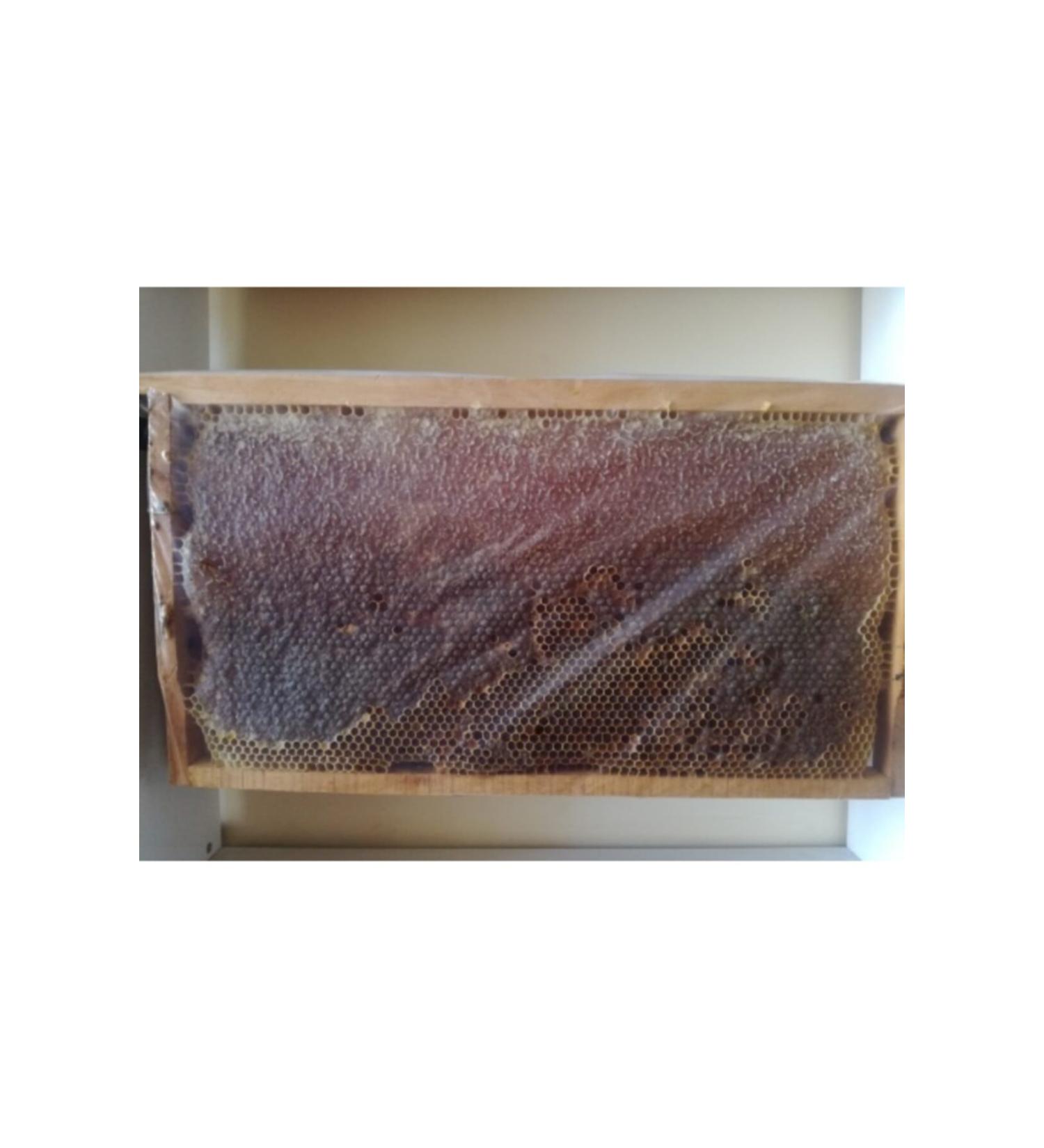 OZMU HONEY Comb Honey 2.5- 3kg - Buy Online on GoSupps.com