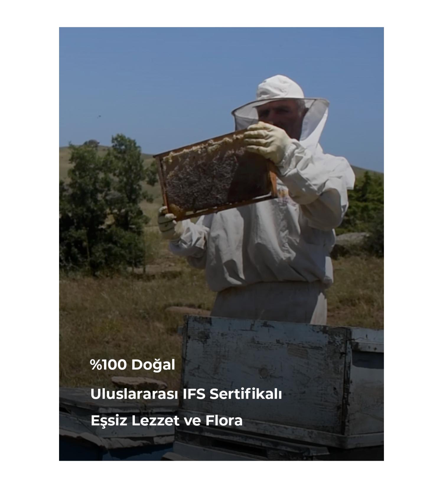 Special Gemlik Olive Oil 1 kg