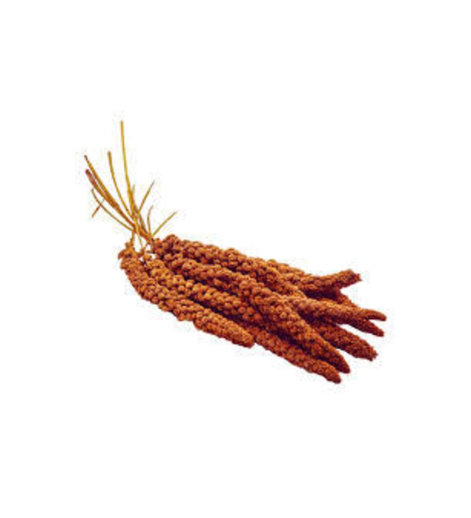 Homemade Yomini Probiotic Yogurt Starter Kit 6 Pack