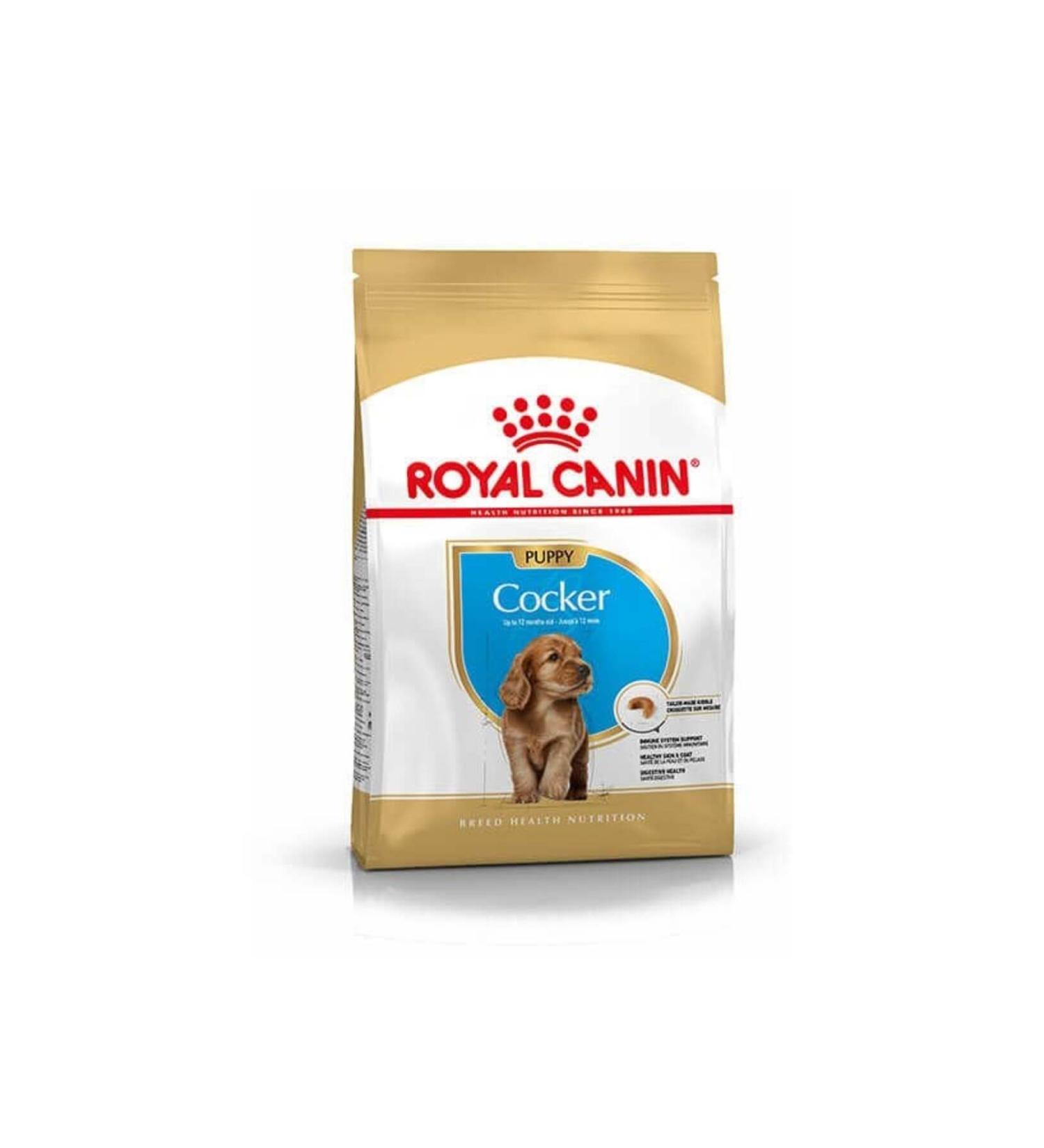 Royal Canin Cocker Puppy Dry Dog Food 3 Kg - Petshopundan