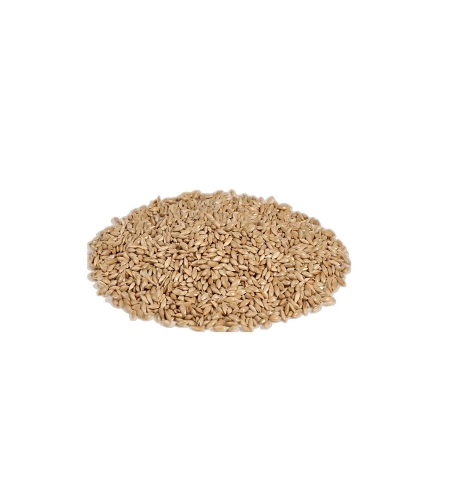 Bambino Safflower Feed 5 Kg