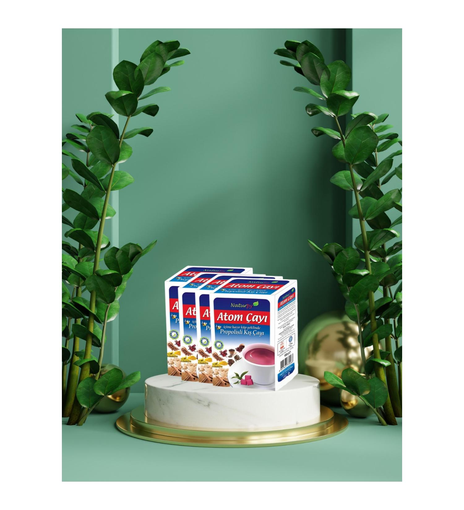 Naturpy Mega Winter Preparation Set (teas-lozenges)