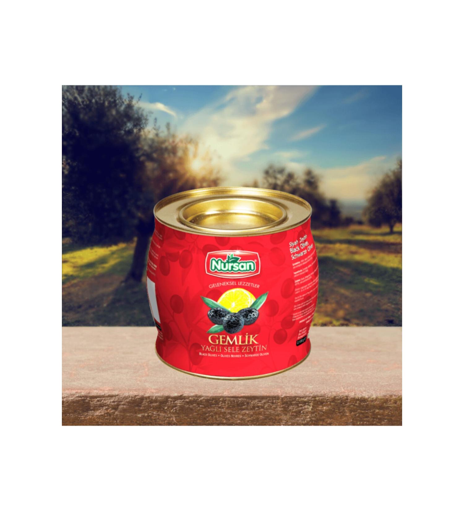 Nursan Food Extra Oily Gemlik Saddle 2 kg