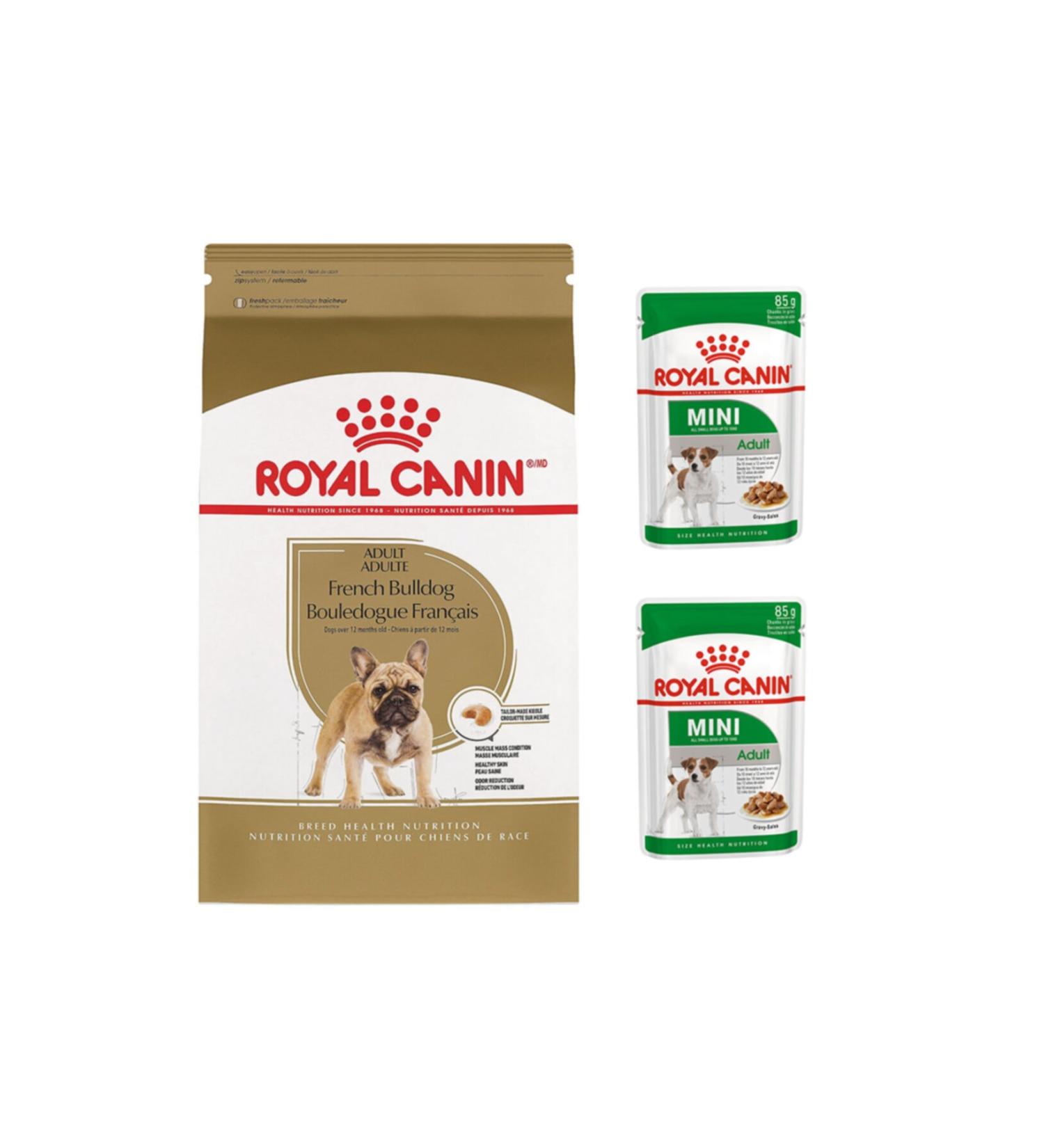Unique Kitten Kitten Food