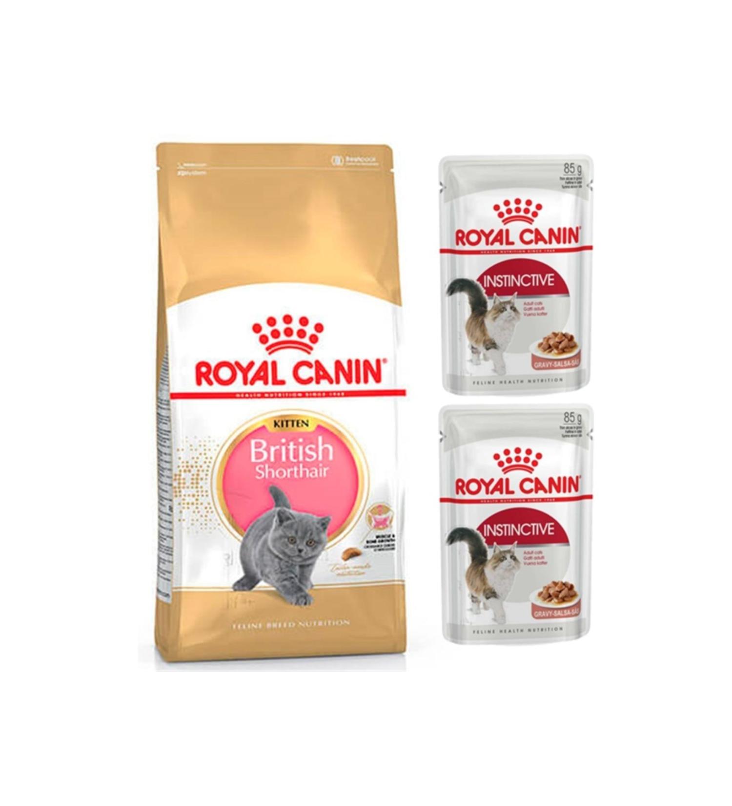 Royal Canin Persian Adult Cat Food 2 kg + 2 Pieces RC Wet Food 85gr + 20 gr GimCat Malt