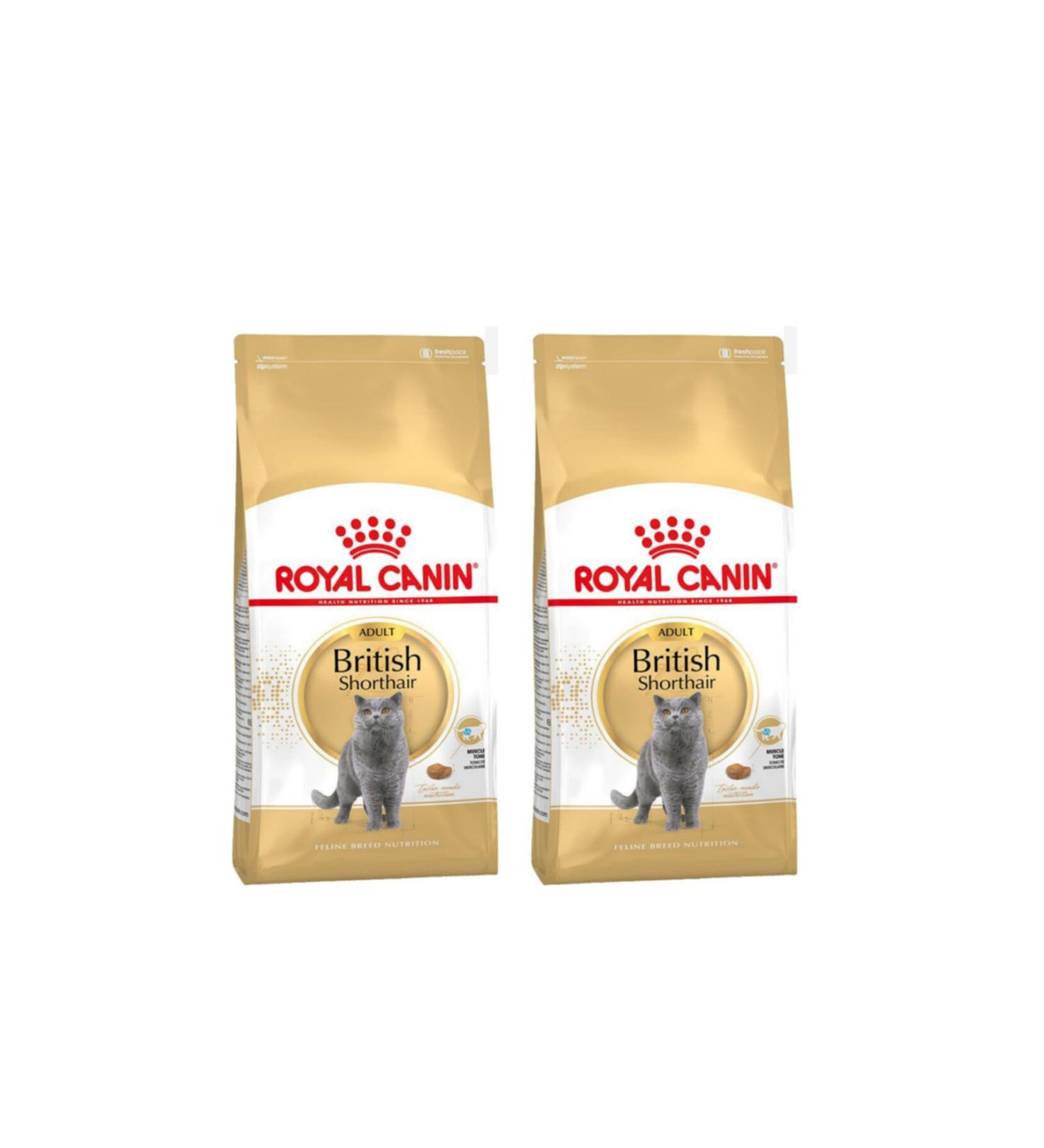 Royal Canin British Shorthair Adult Cat Dry Food 2 kg X 2 Pieces