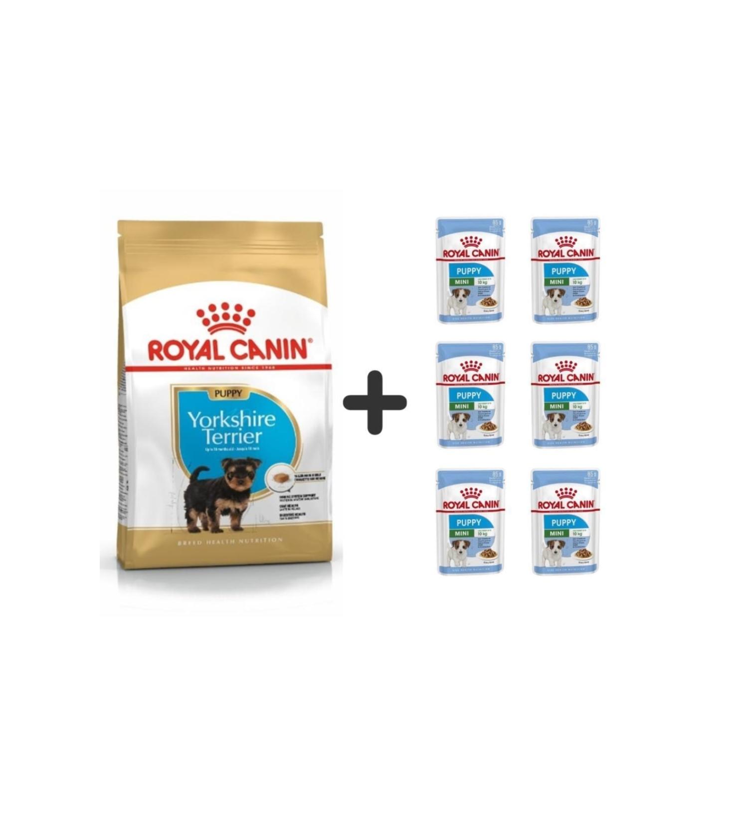 Royal Canin Yorkshire Terrier Puppy Food 1.5 Kg + 6 Pieces Wet Food