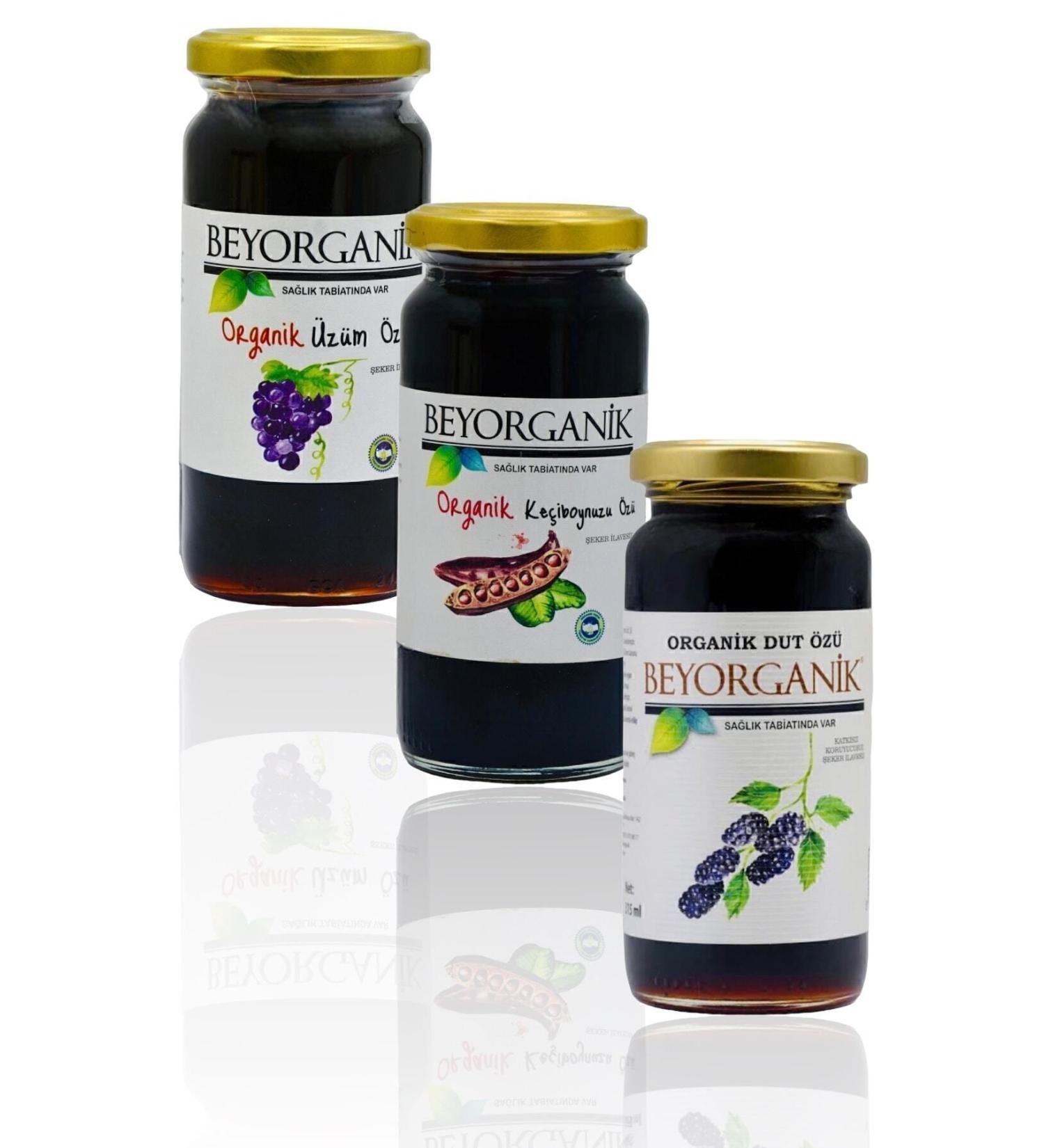 BEYORGANIC Organic Carob Extract Organic Mulberry Extract Organic Grape Extract Group of 3 6 months - Buy Online on GoSupps.com