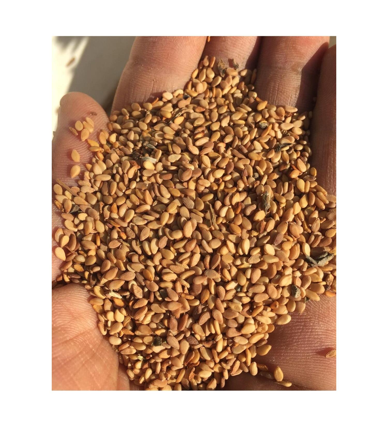 Happy Cat Large Breed Chicken Adult Cat Food 1.4 Kg