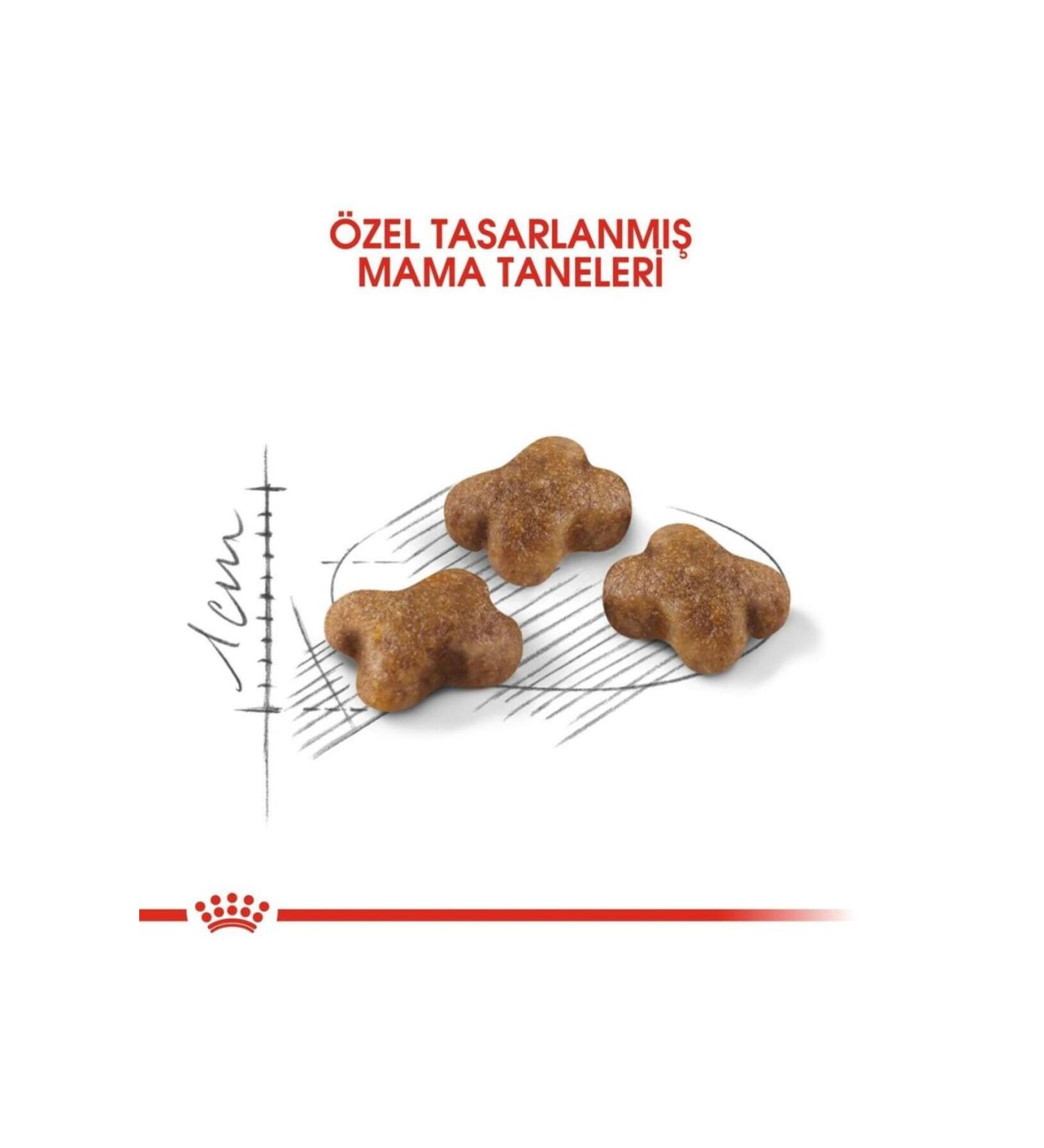 Lotus Rose Cichlid Mix - Cichlid Colour Chips 250 Ml Fish Food