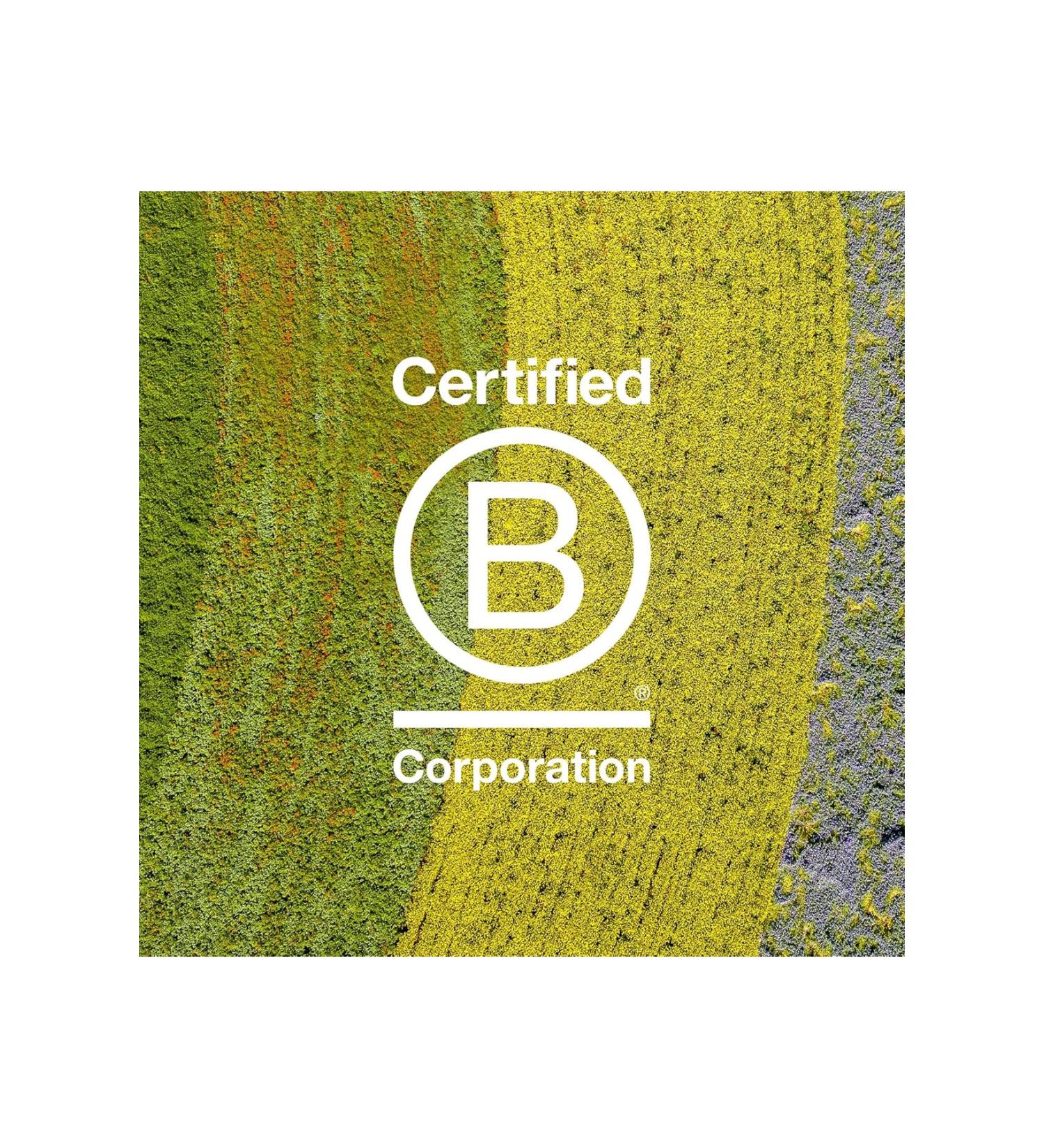 Davines Mask with Vibrachrom 0.66 Hair Dye 100 ml (Oxidizer-Free)