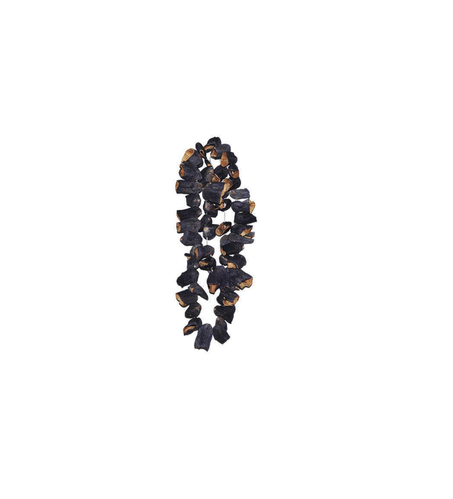 ANATOLIAN HASAT Chia Seed Net: 350Gr-Jar