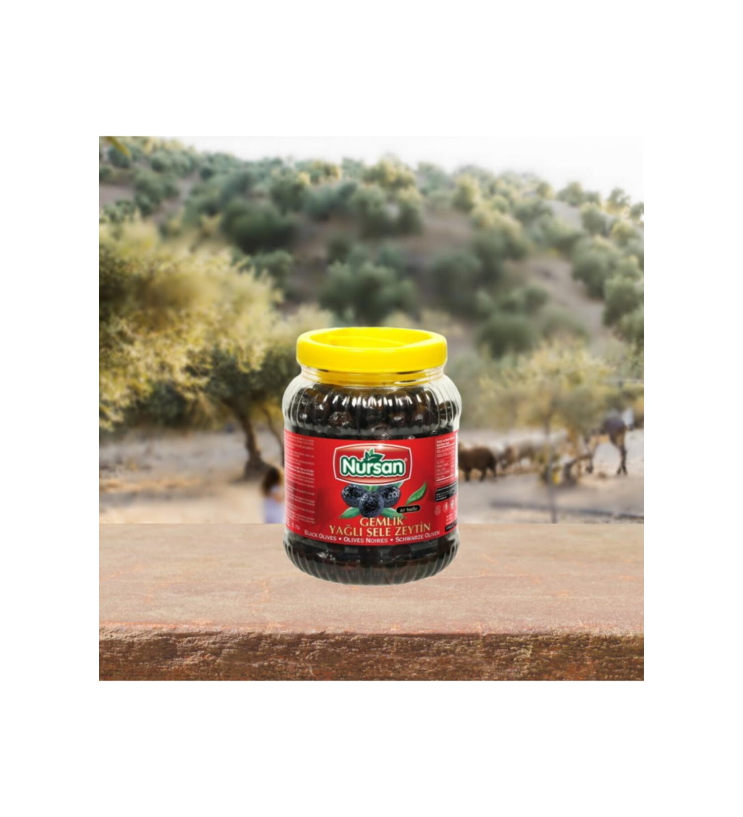 Nursan Food Super 2 Oily Sele Olive 2 Kg