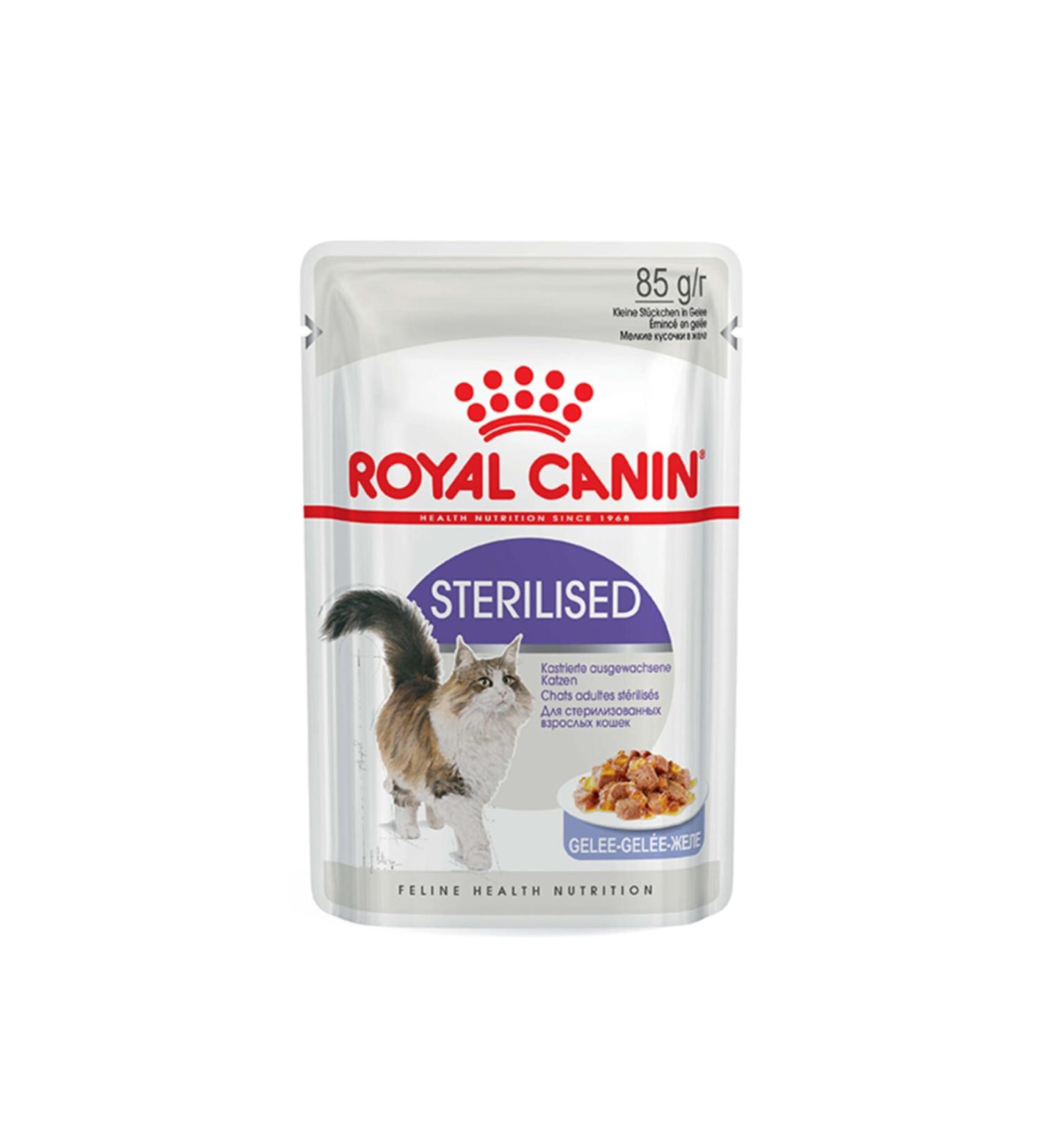 Royal Canin Sterilized Jelly Canned Cat Food 85 Gr 24 Pieces