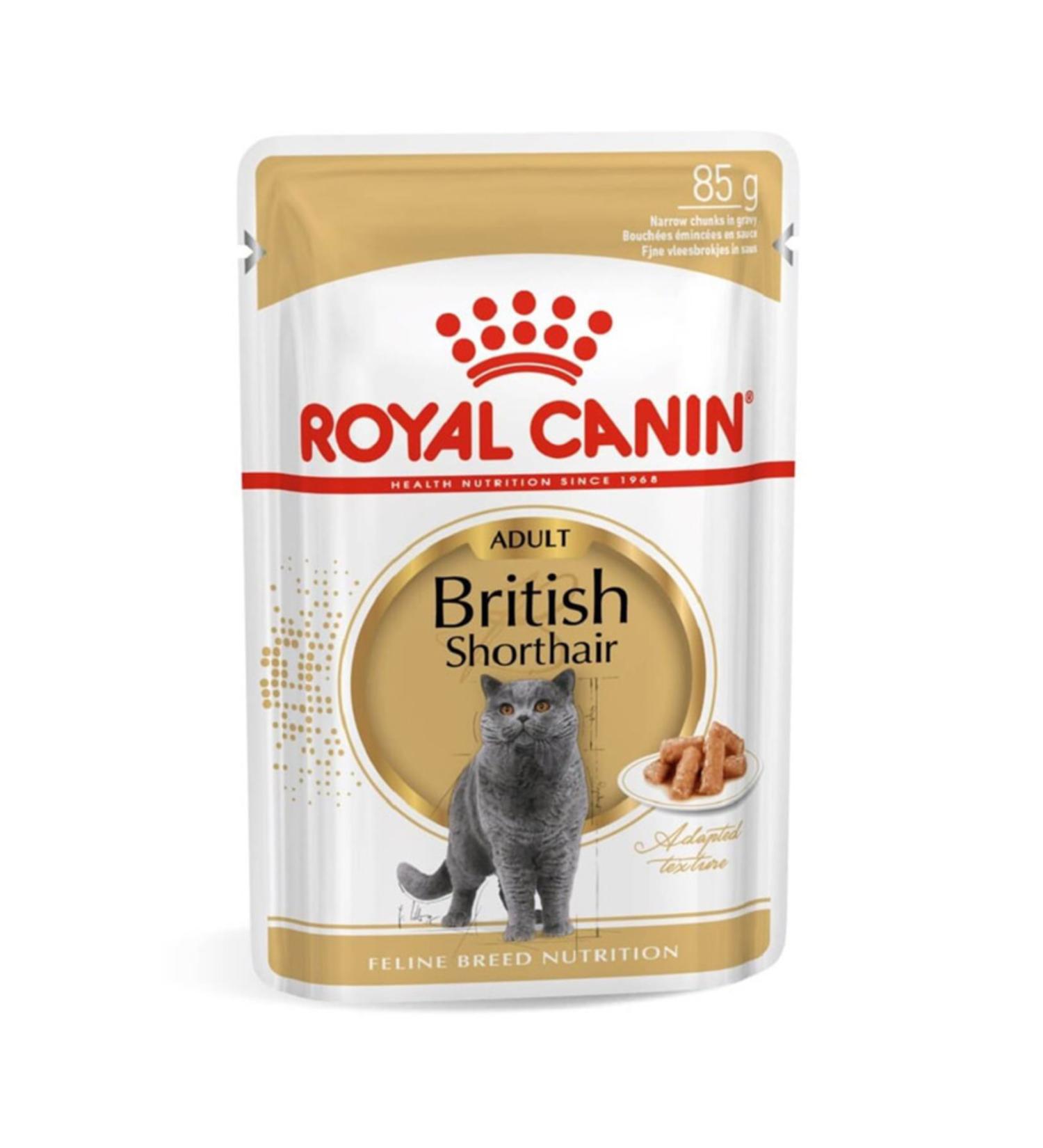 Royal Canin 85gr British Shorthair Adult Cat Food 12pcs
