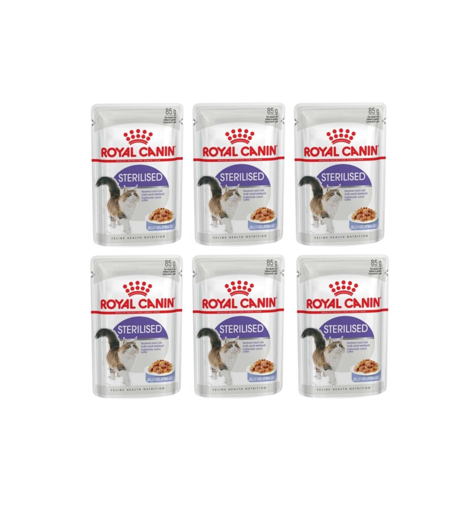 Royal Canin Sterilized Jelly Canned Cat Food 85 Gr 12 Pieces
