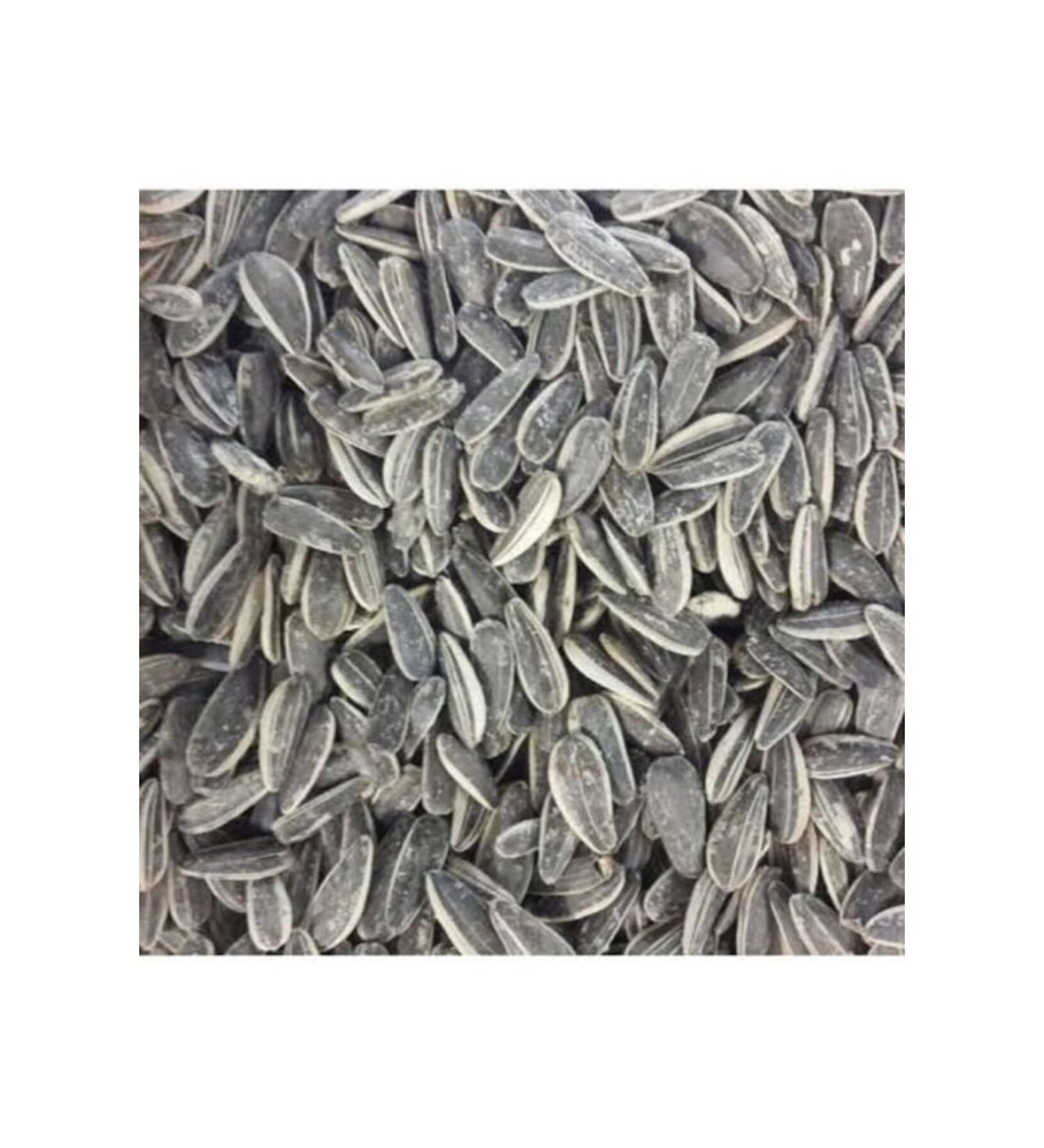 TALAS Nuts Salted Roasted Sunflower Seeds 3 KG