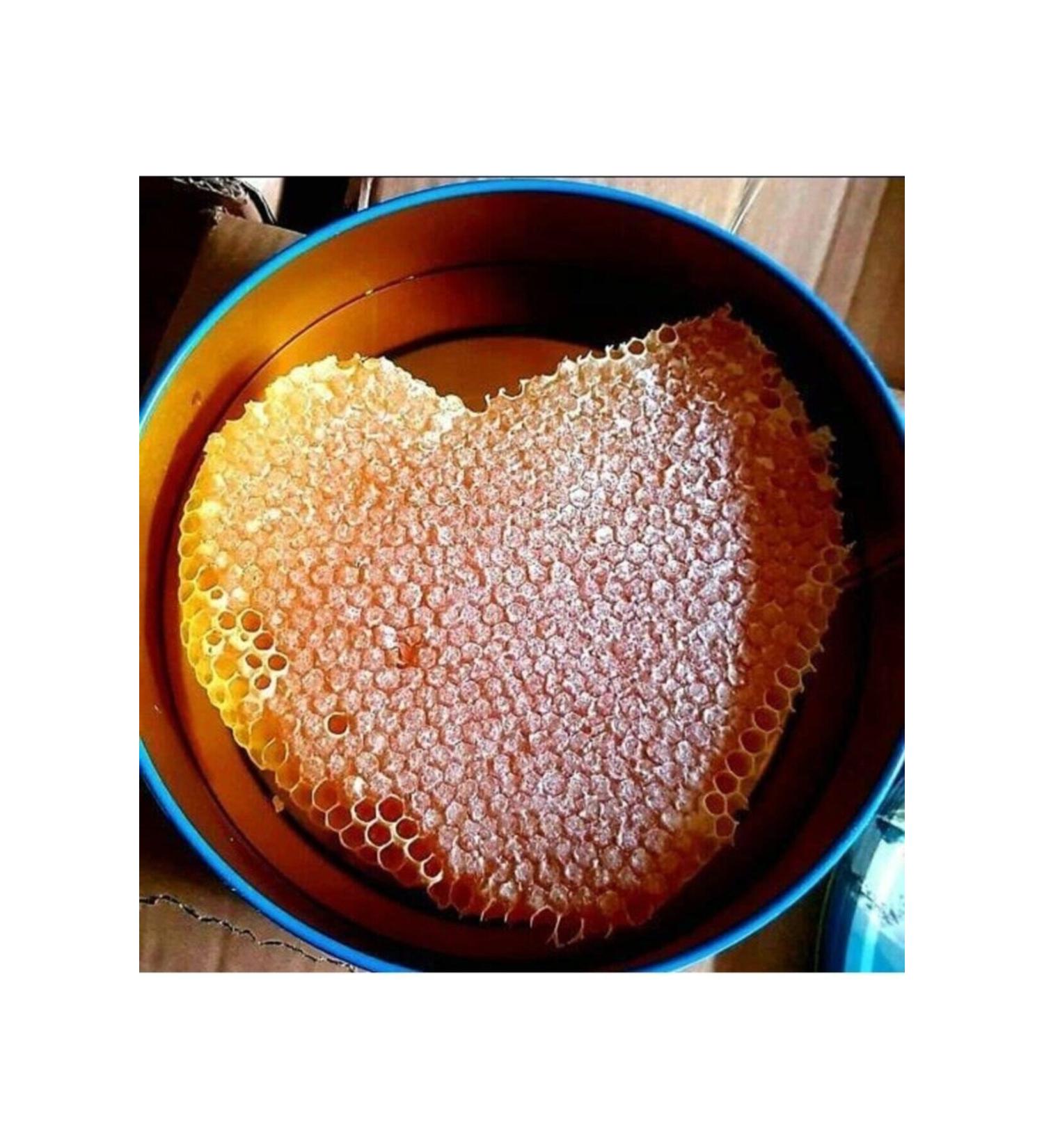 Tropical Discus Gran 100 Gr