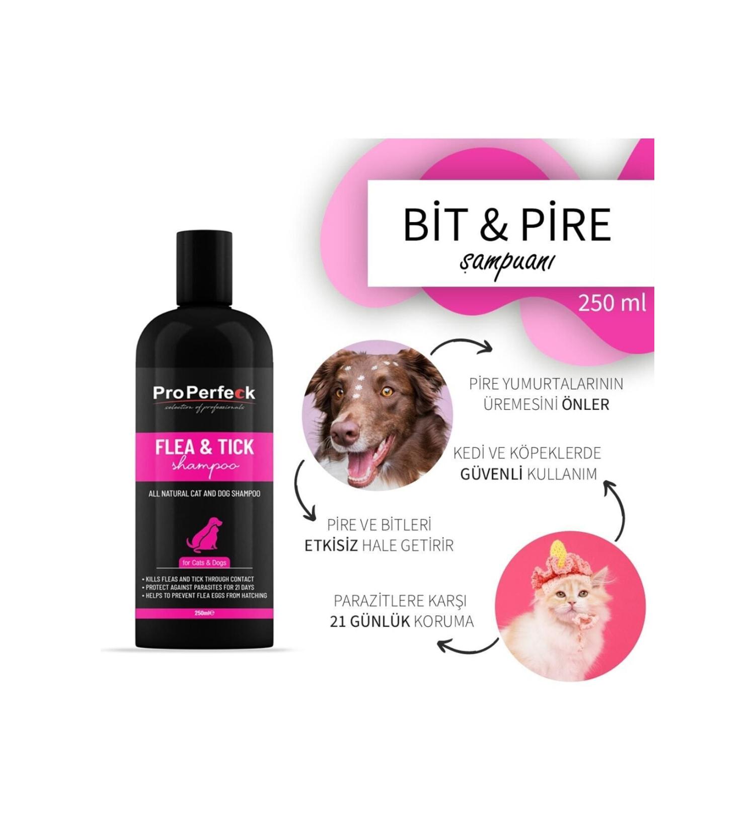 BY ORGANIC Turmeric Grain 500 gr (Natural Dried Sifted Additive-Free)