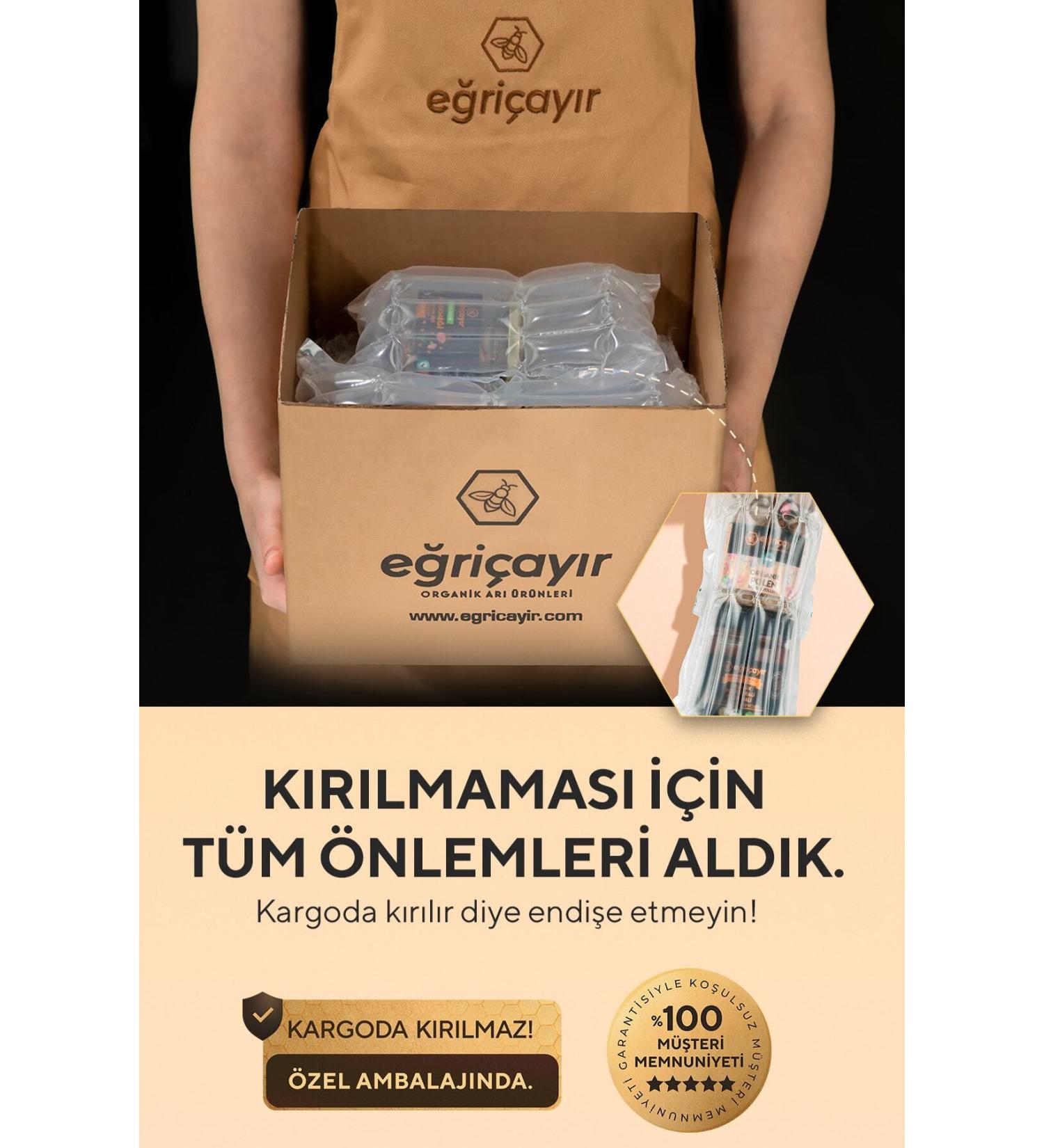 Pro Plan Pro Plan Chicken Meat Kitten Cat Canned Food 85 Gr - Buy 6 Pay 5