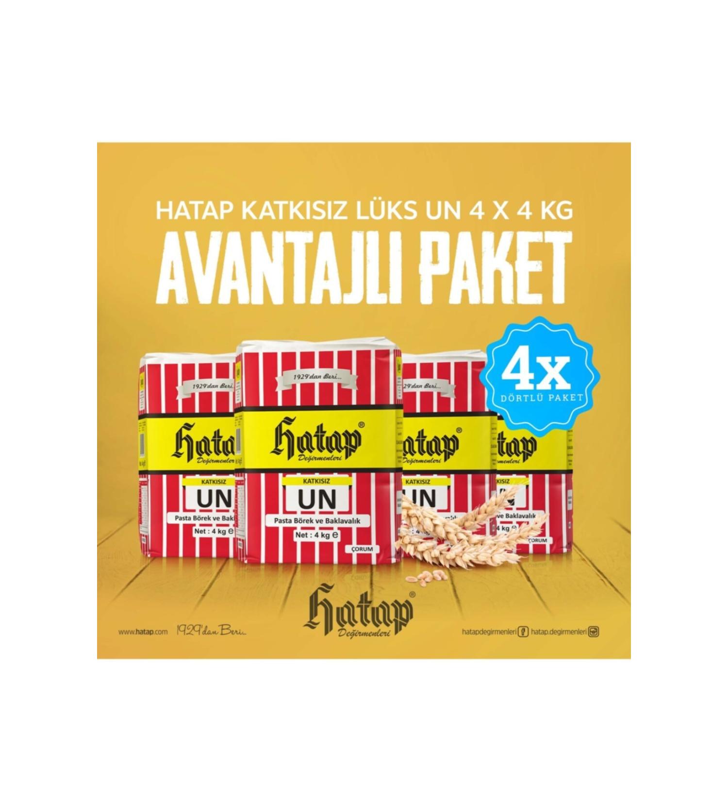 Hatap Mills Hatap Cake Pastry and Baklava Flour 4 X 4 Kg Advantageous Package
