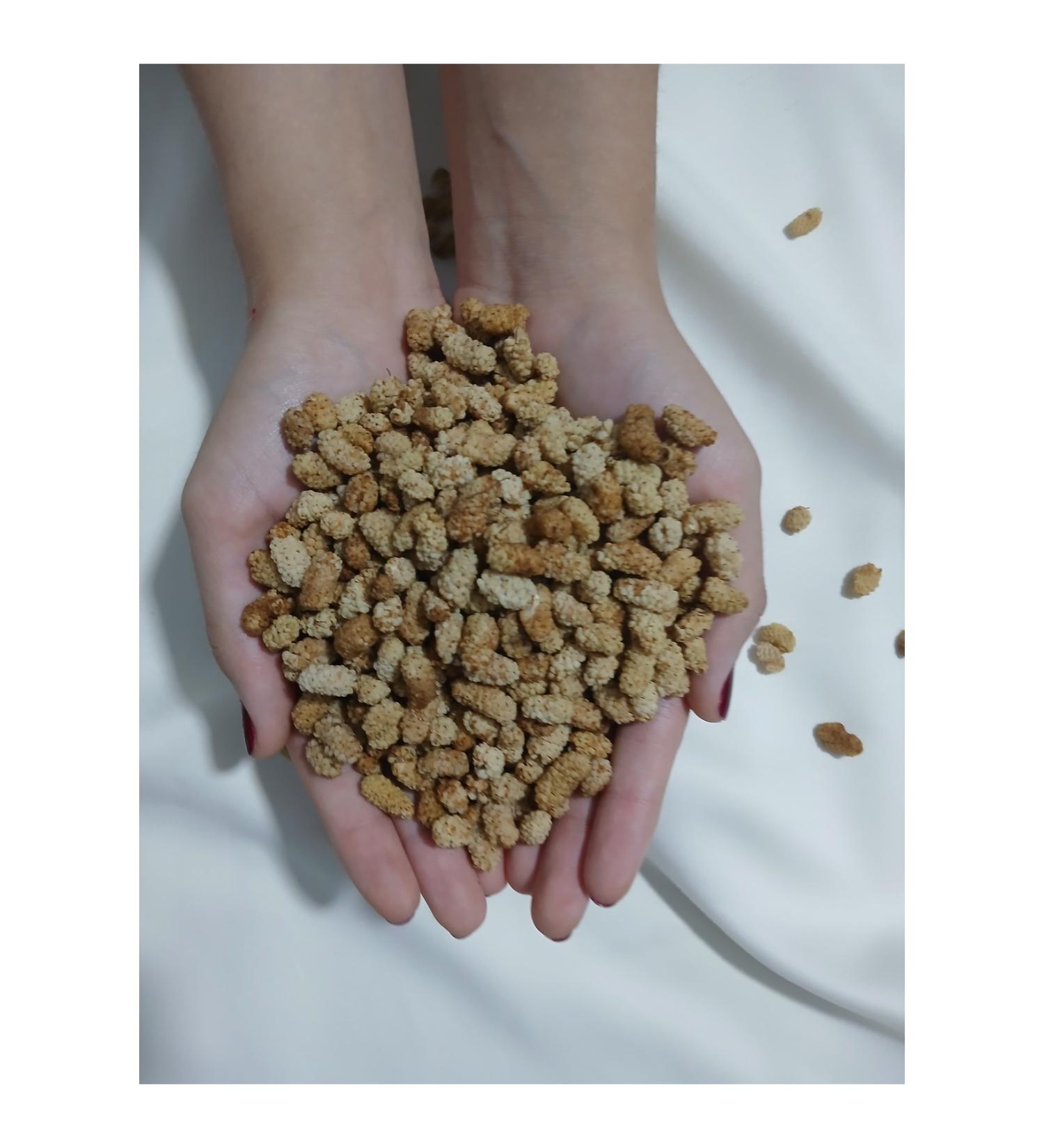 Metro Chef 10 Mm Large Chickpeas - 1 Kg