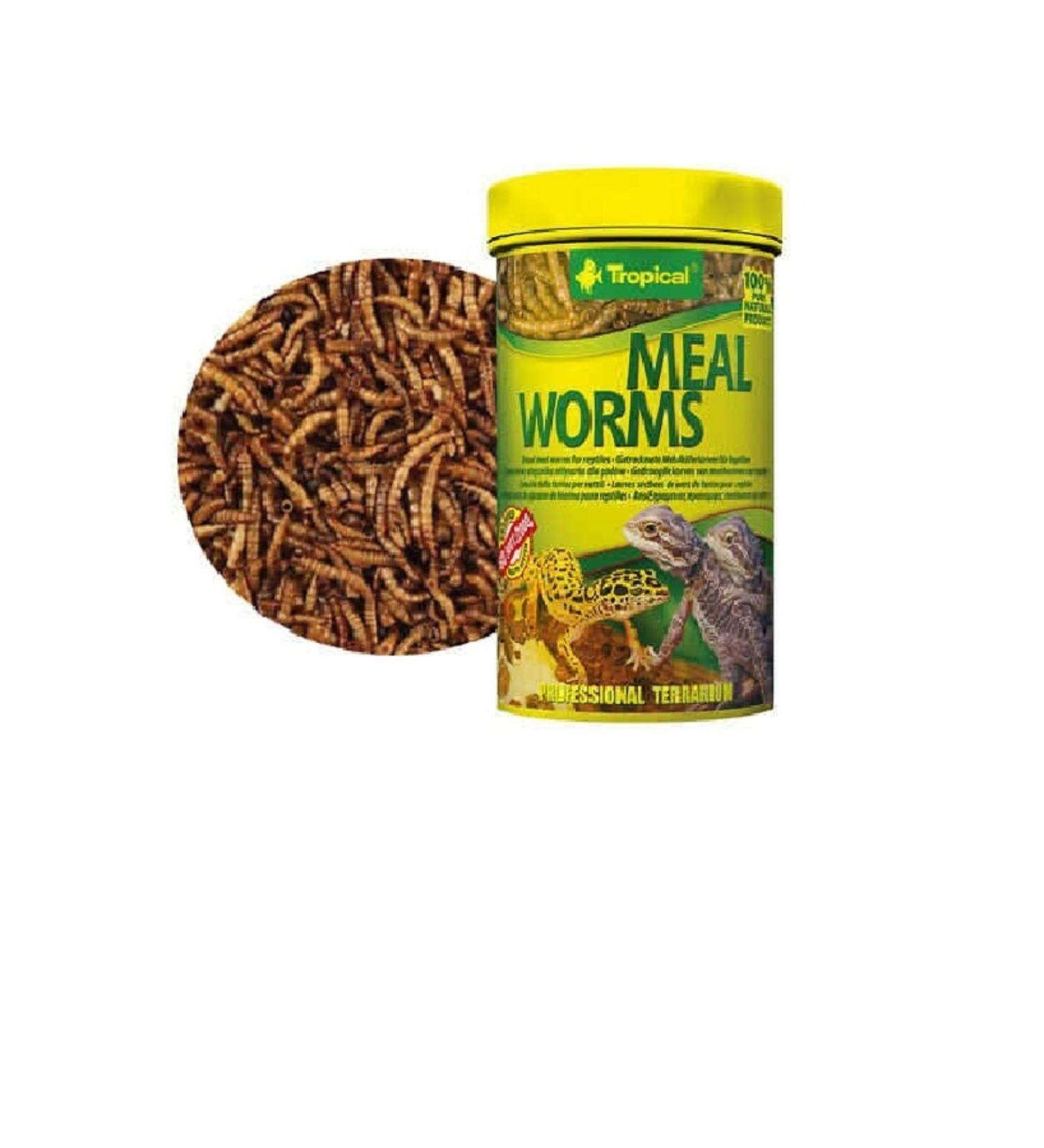 Addis Ababa Coffee Lemmu 225 Gr X 4 Pieces Filter Espresso Bean Coffee - Buy Online on GoSupps.com