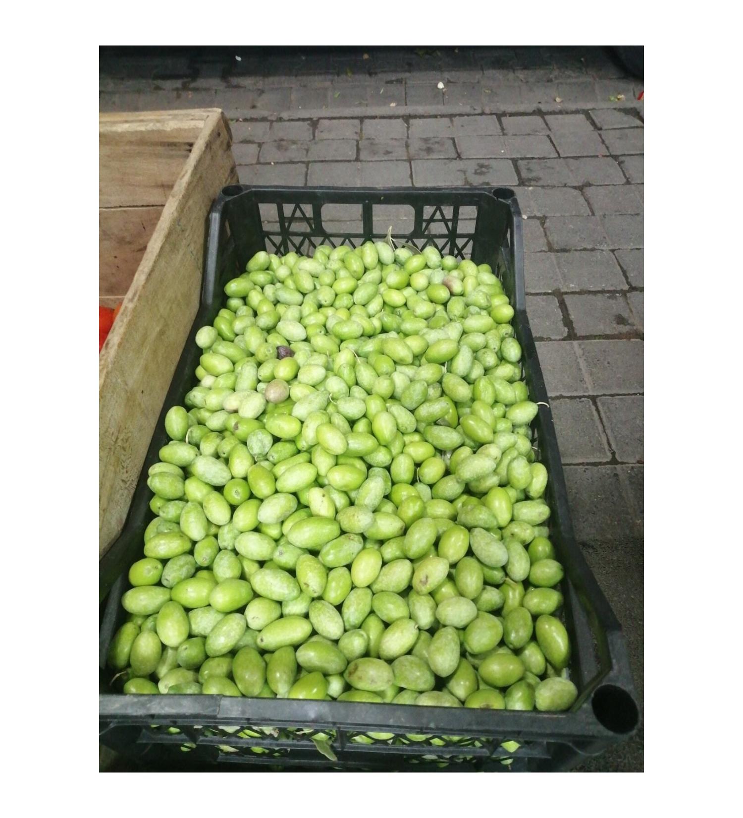 Arimay Green Olives Kg